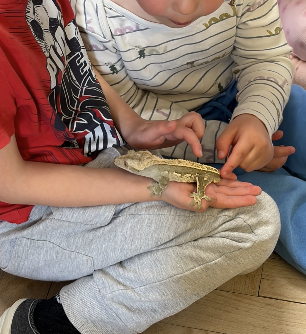 REPTILclub foto 5
