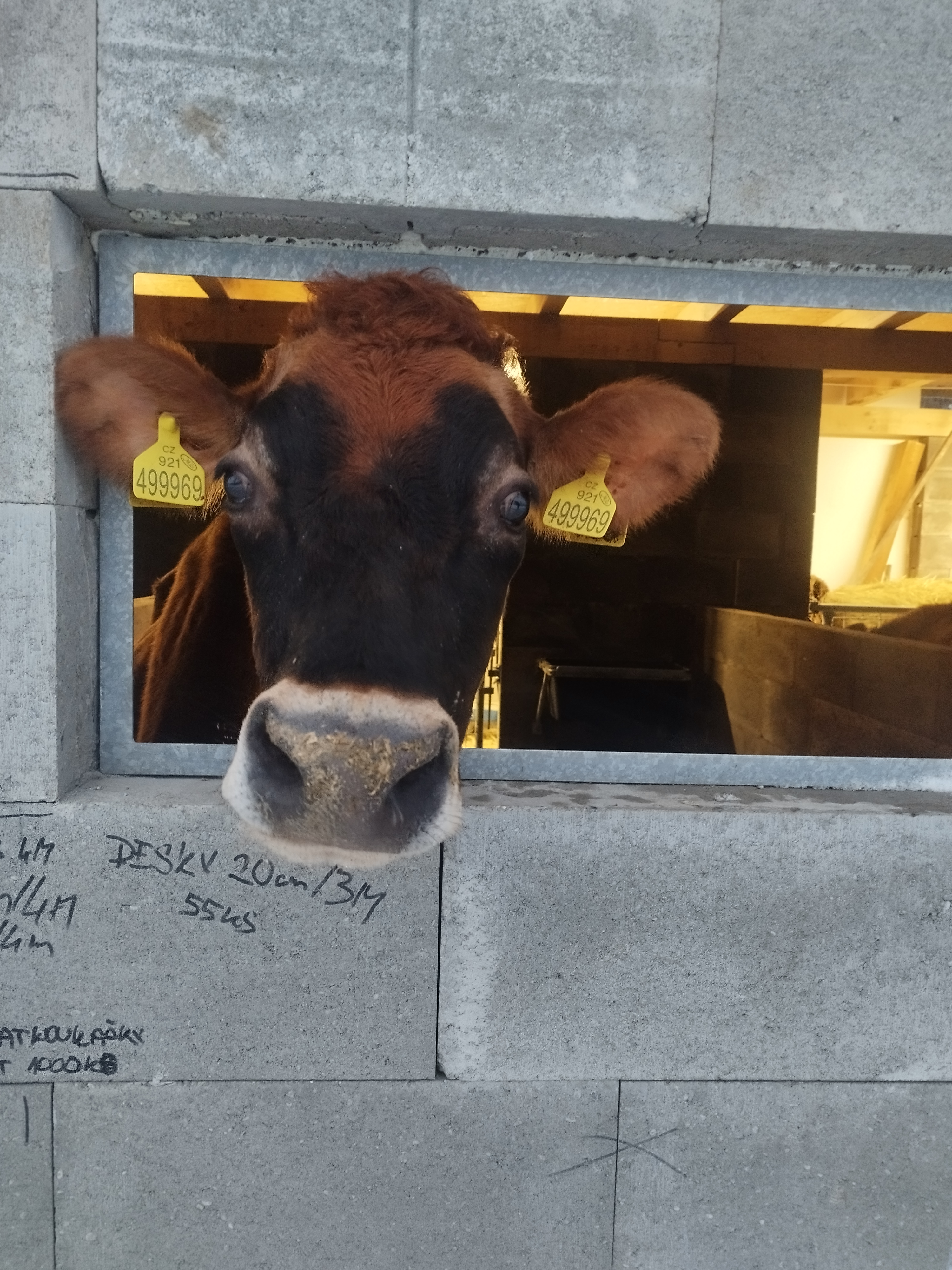Farma Čech foto 4