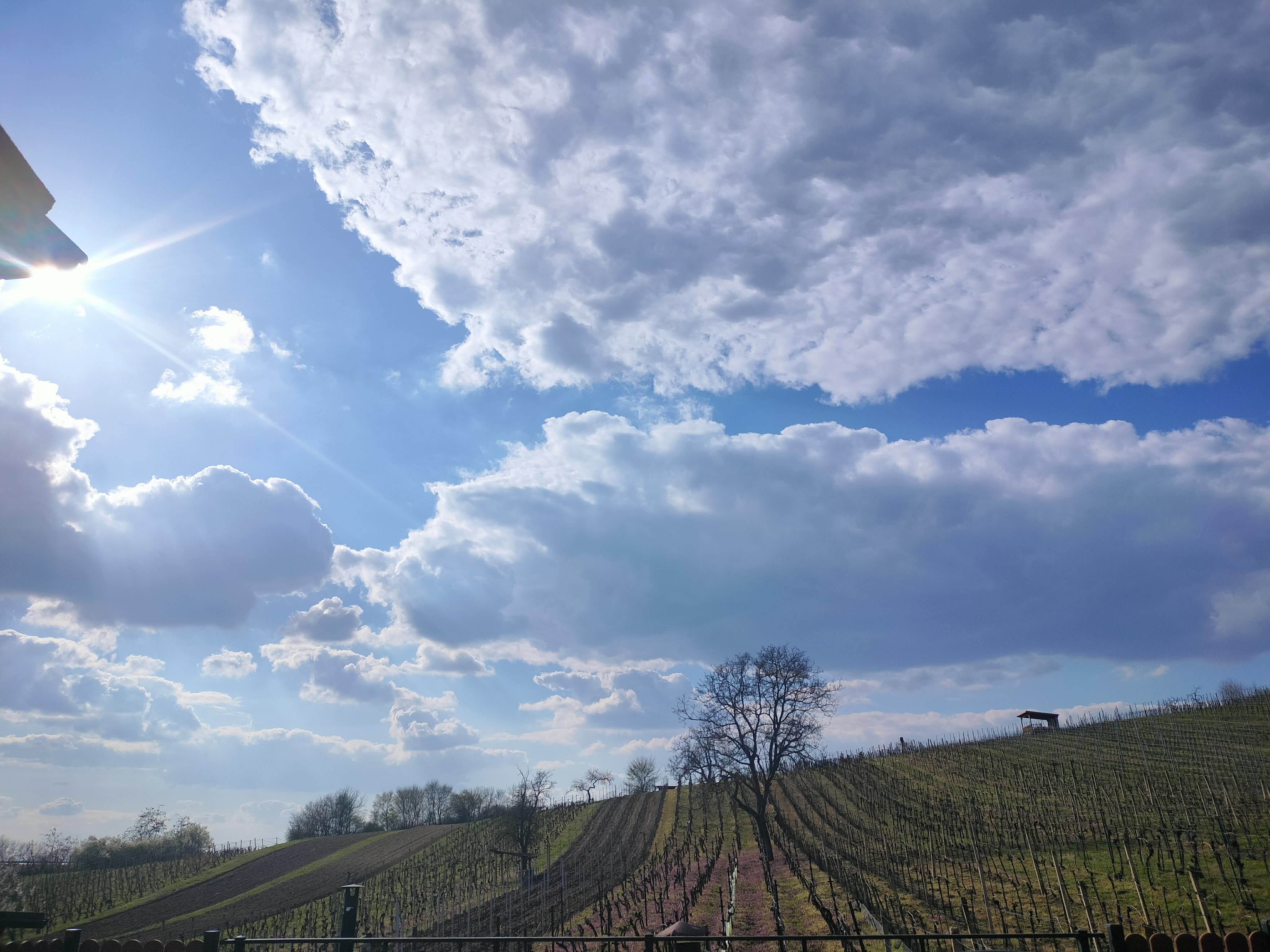 ARAWinery s.r.o. -  Vinařství a ubytování ARA I foto 5