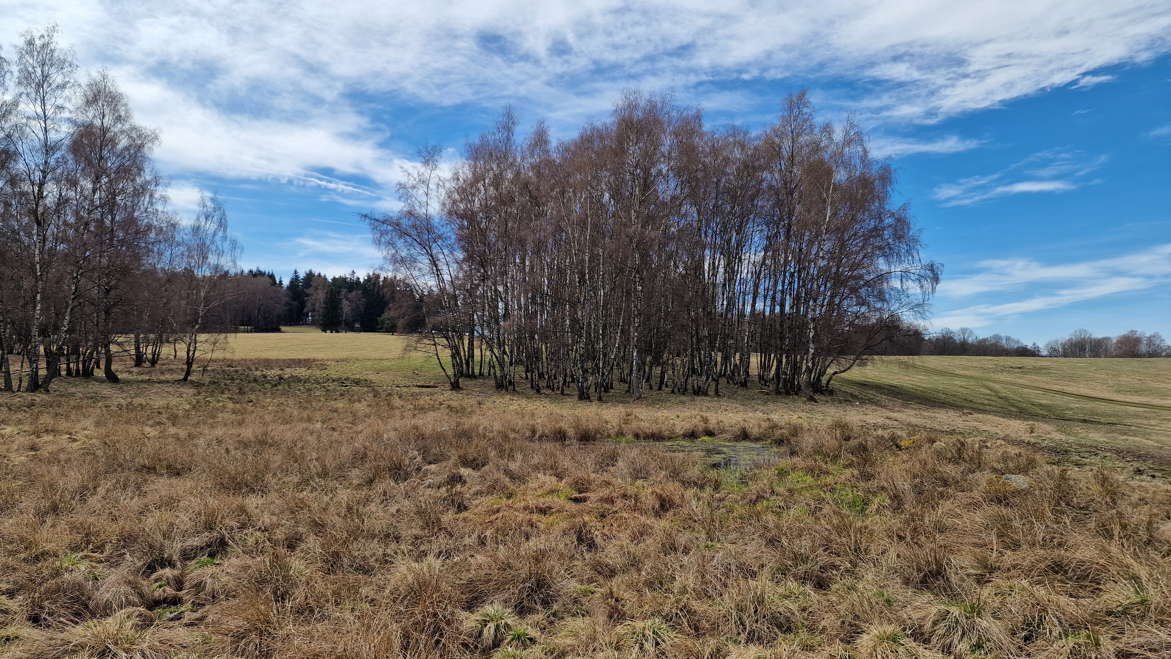 Pavlína Krejníková foto 6