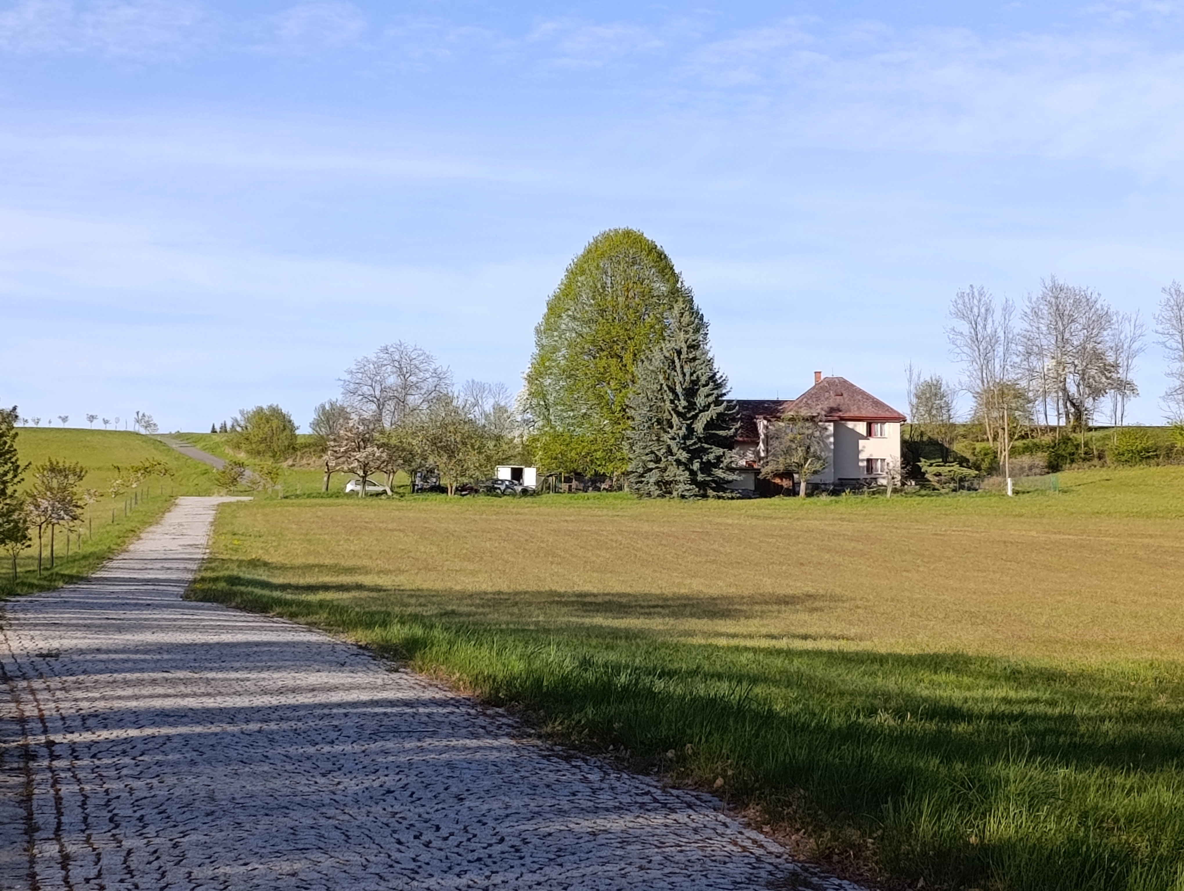 Sportovní klub kulturistiky Hrádek nad Nisou foto 2