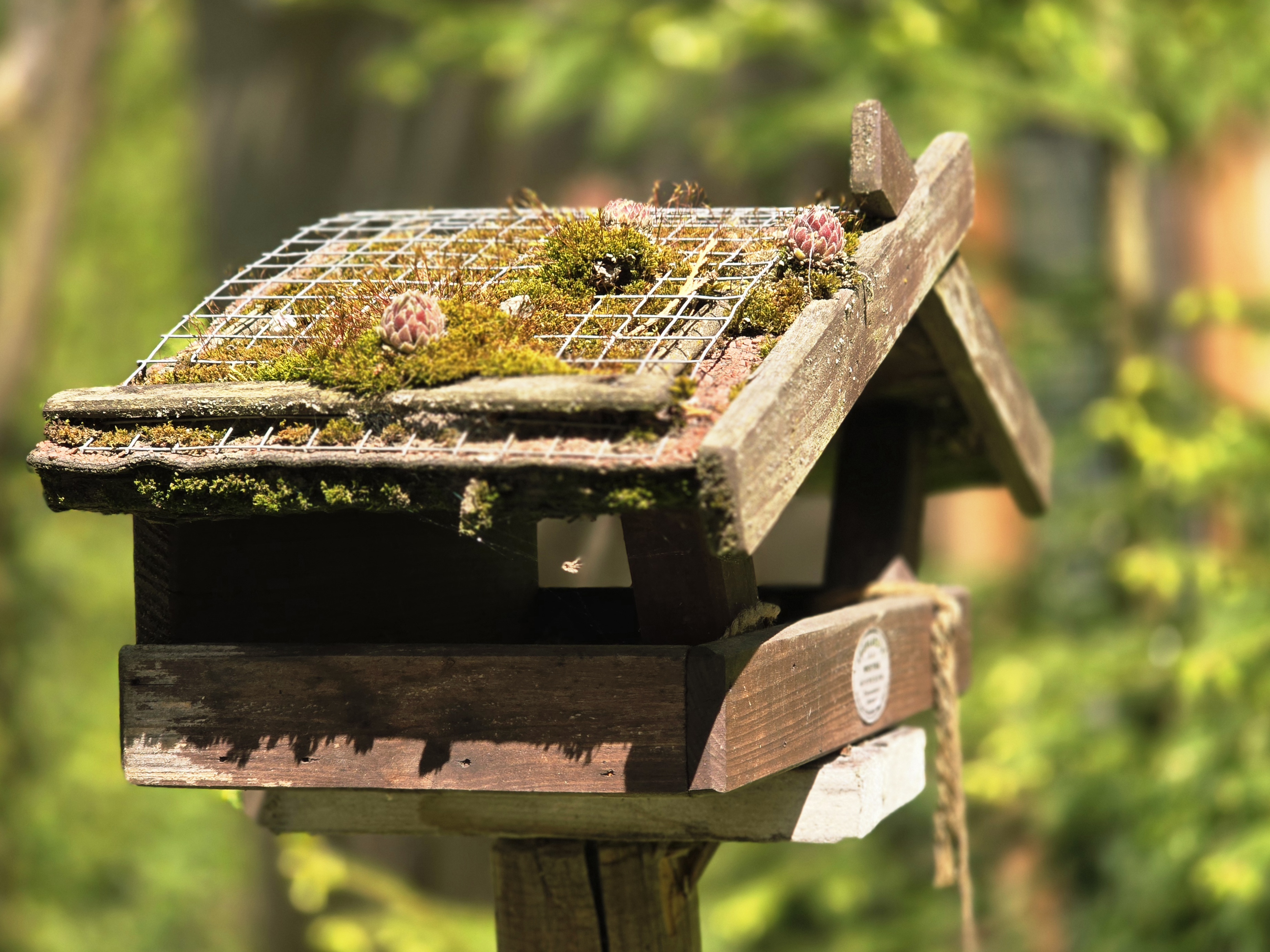 Botanická zahrada při VOŠ a SZEŠ v Táboře foto 6