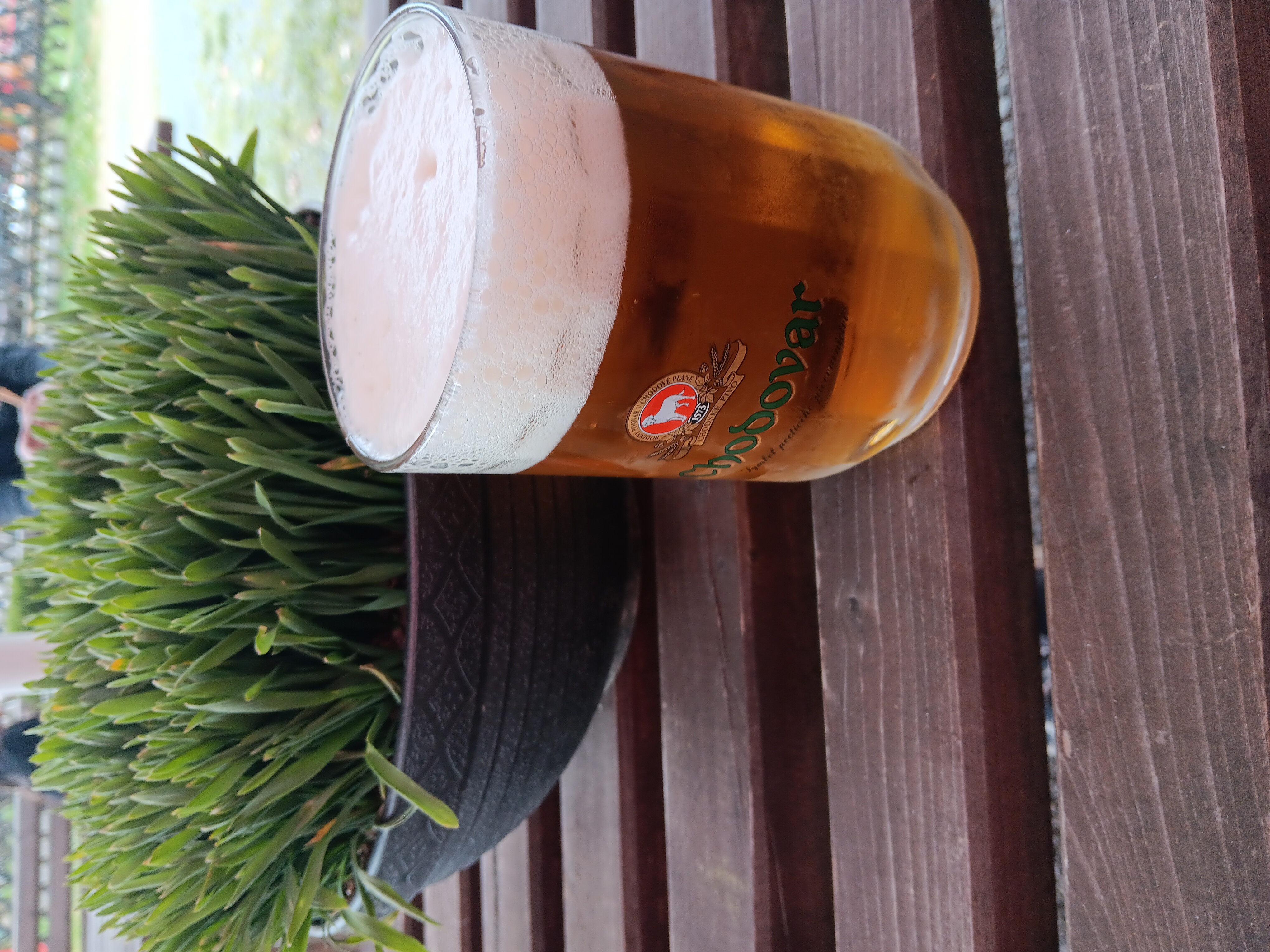 Občerstvení na Hájence foto 6