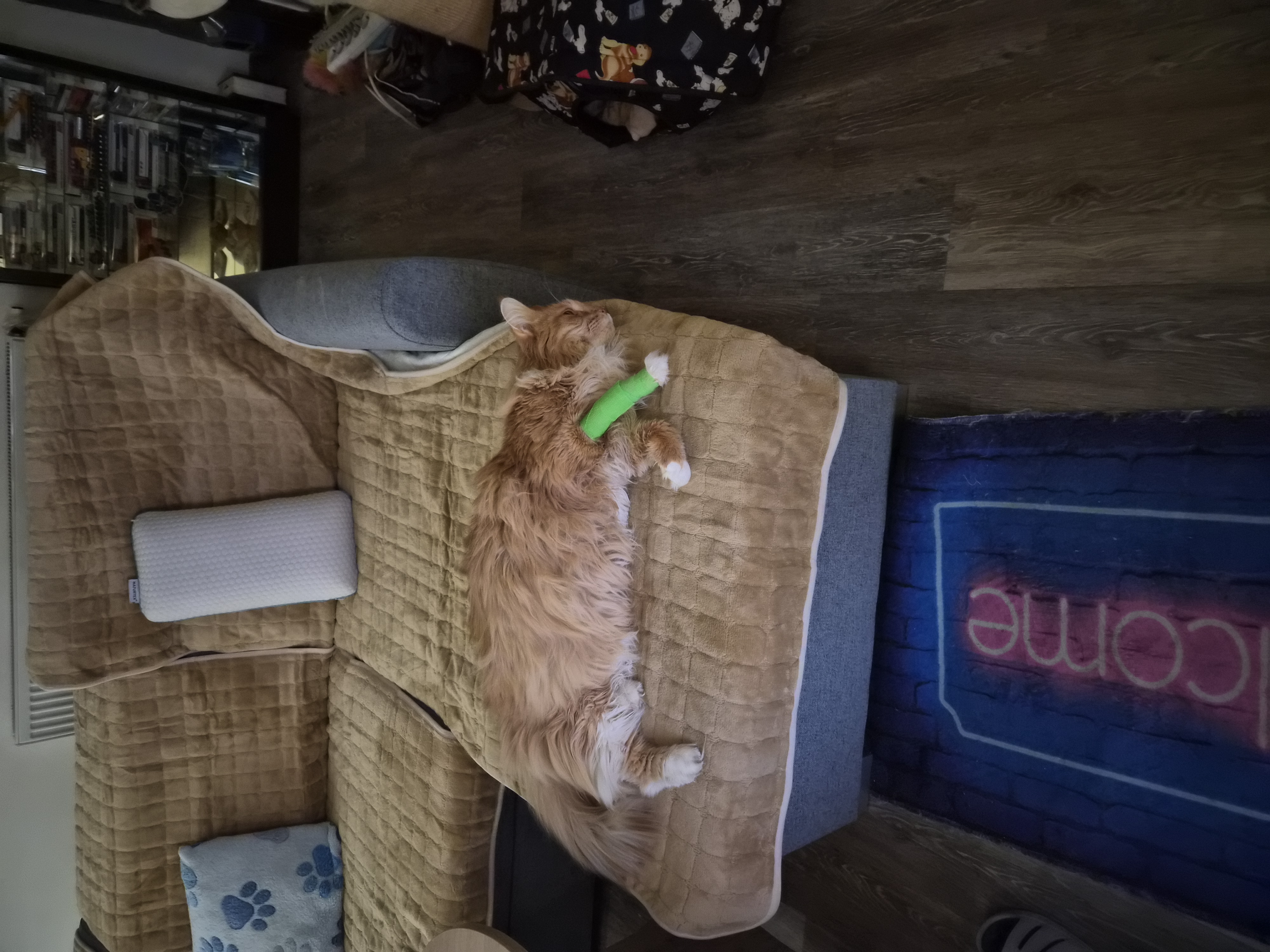 Veterina Po Ruce - MVDr. Zuzana Cihlářová foto 4