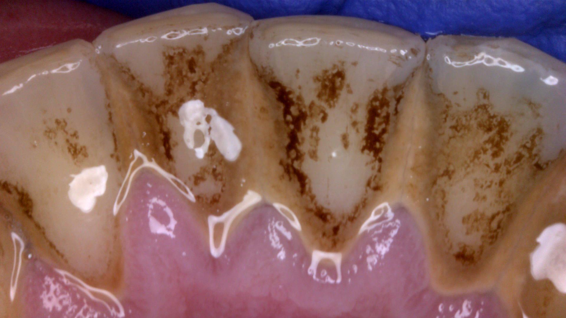 ForMyDent, s.r.o. foto 2