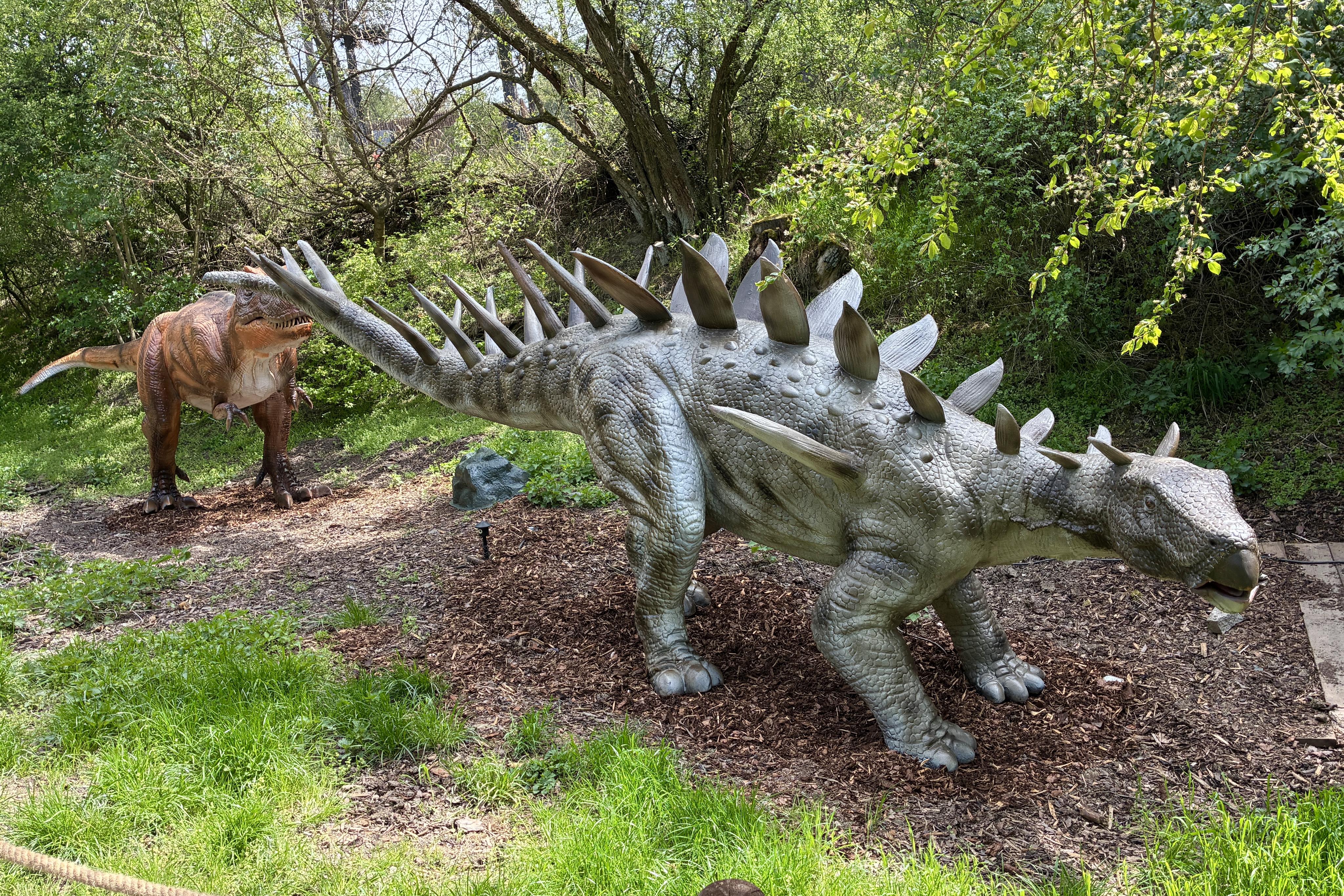 DinoLive foto 4