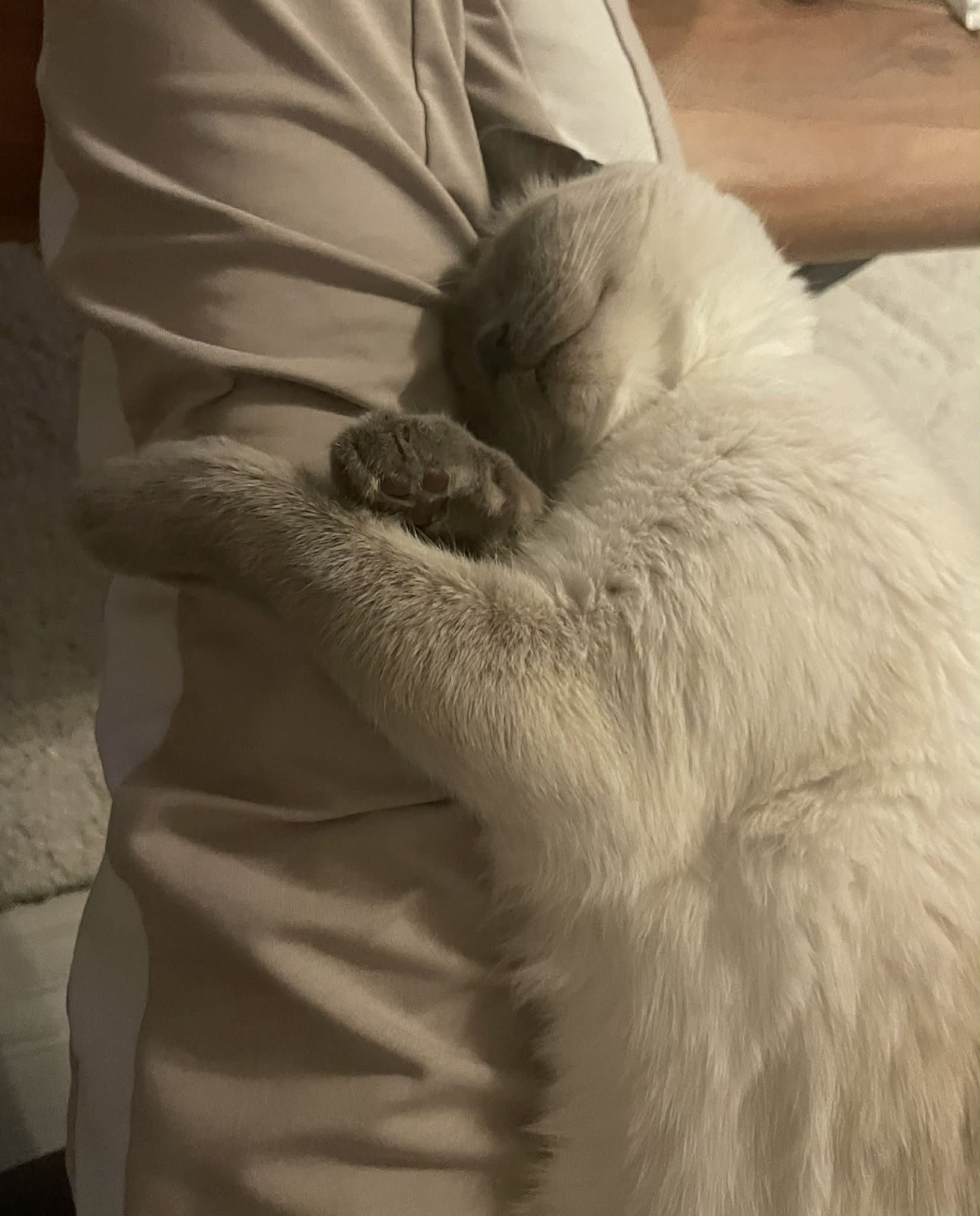 M - Veterinární klinika foto 2