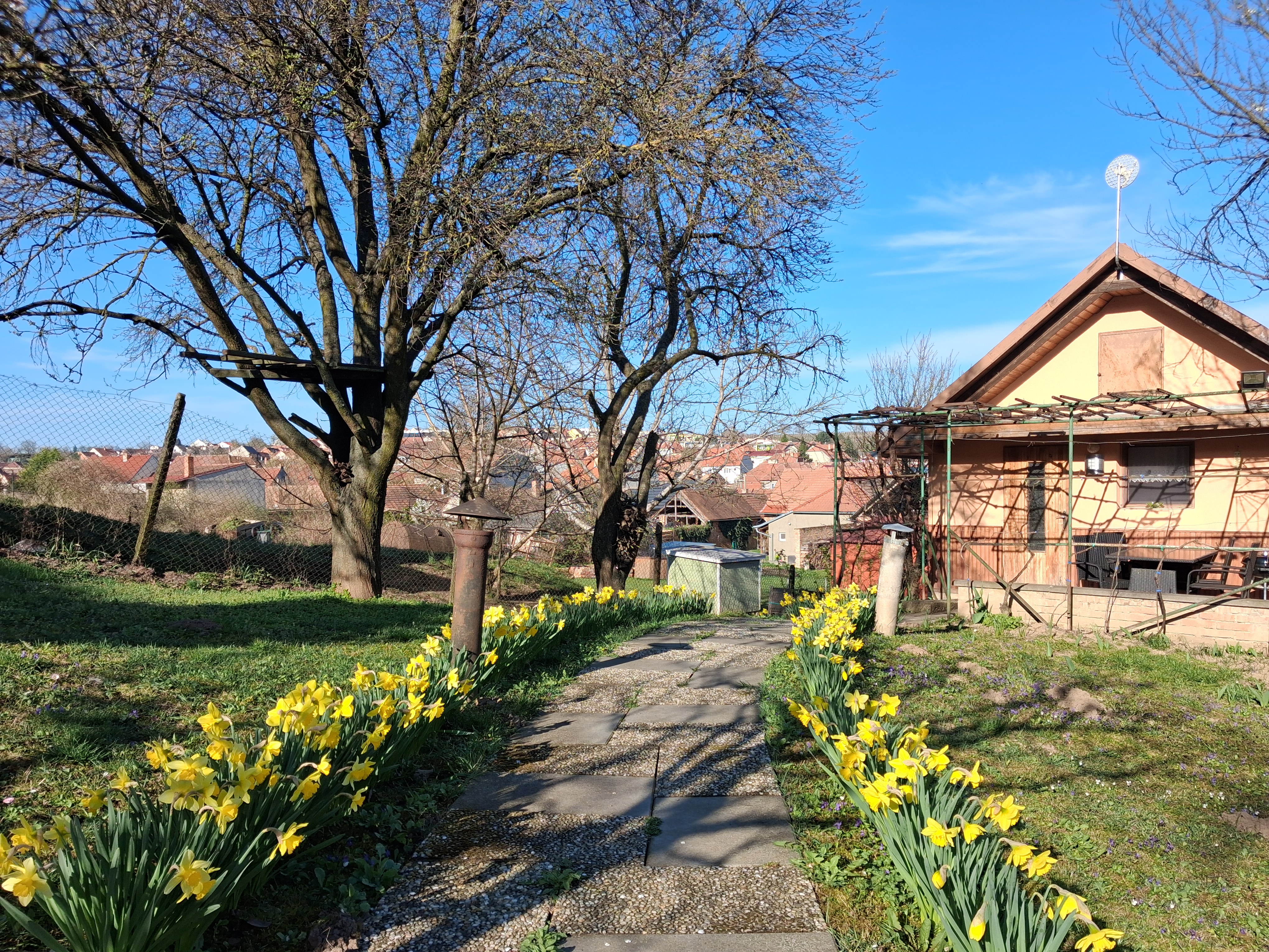 Ubytování Pavel Koliba foto 2