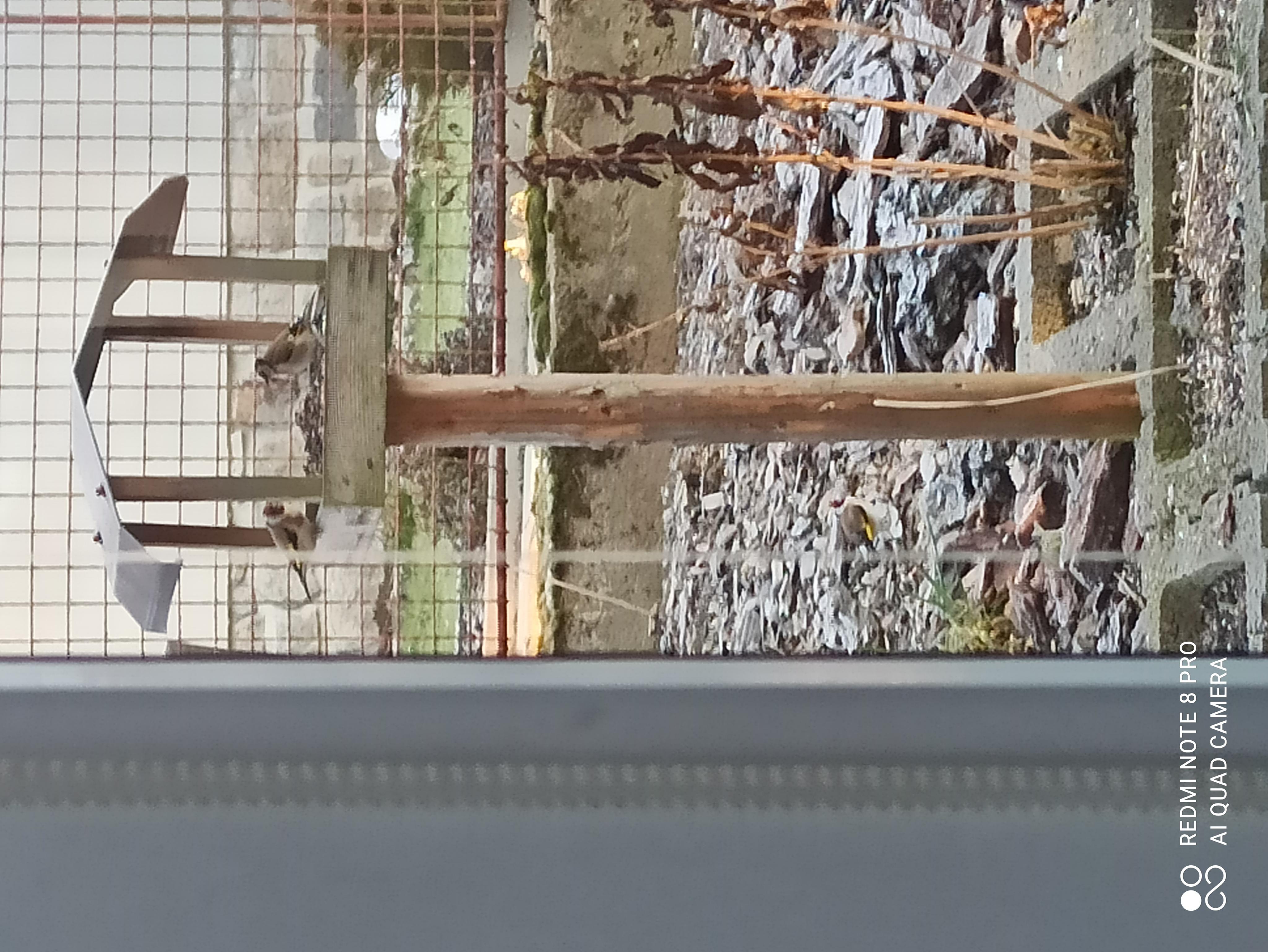 Sběrný dvůr foto 2
