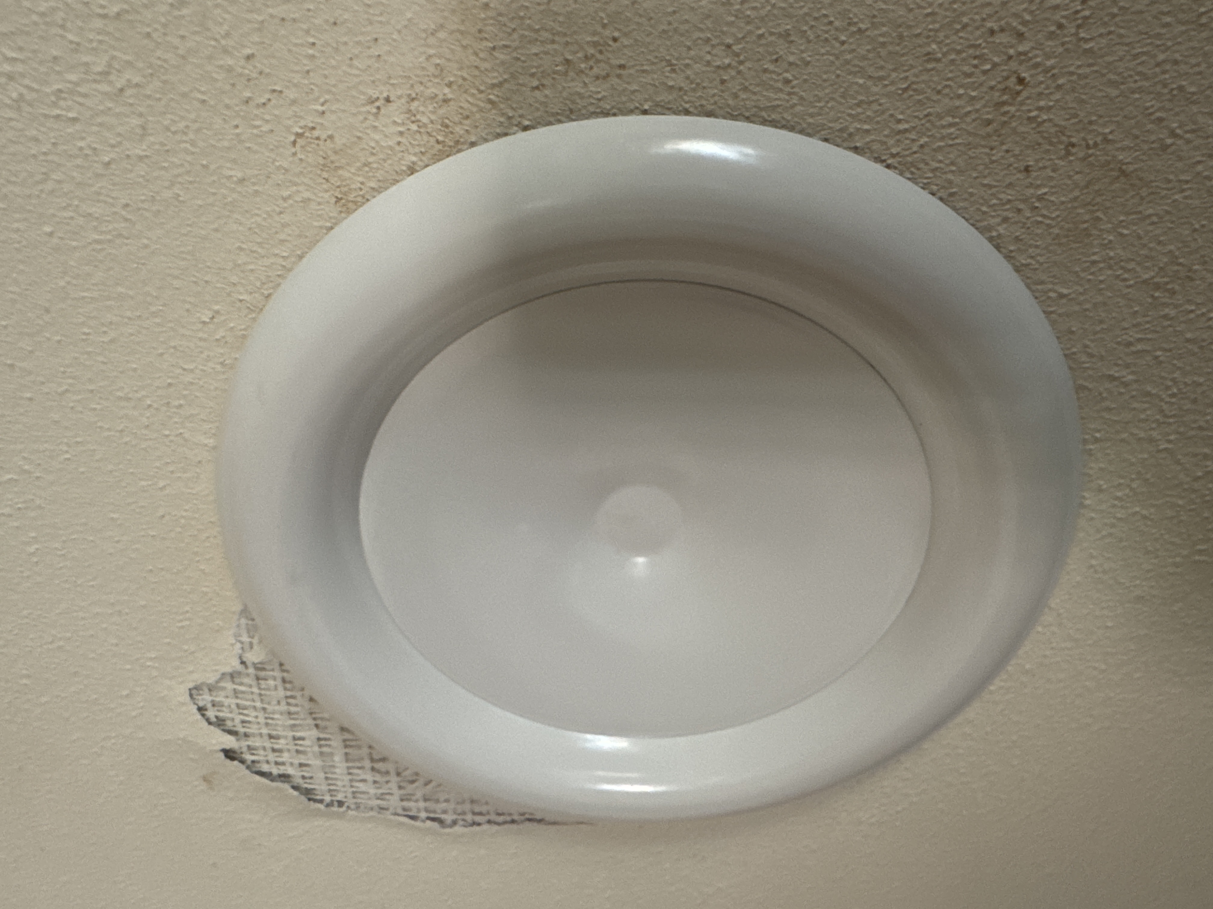 Green Alliance, s.r.o. foto 1