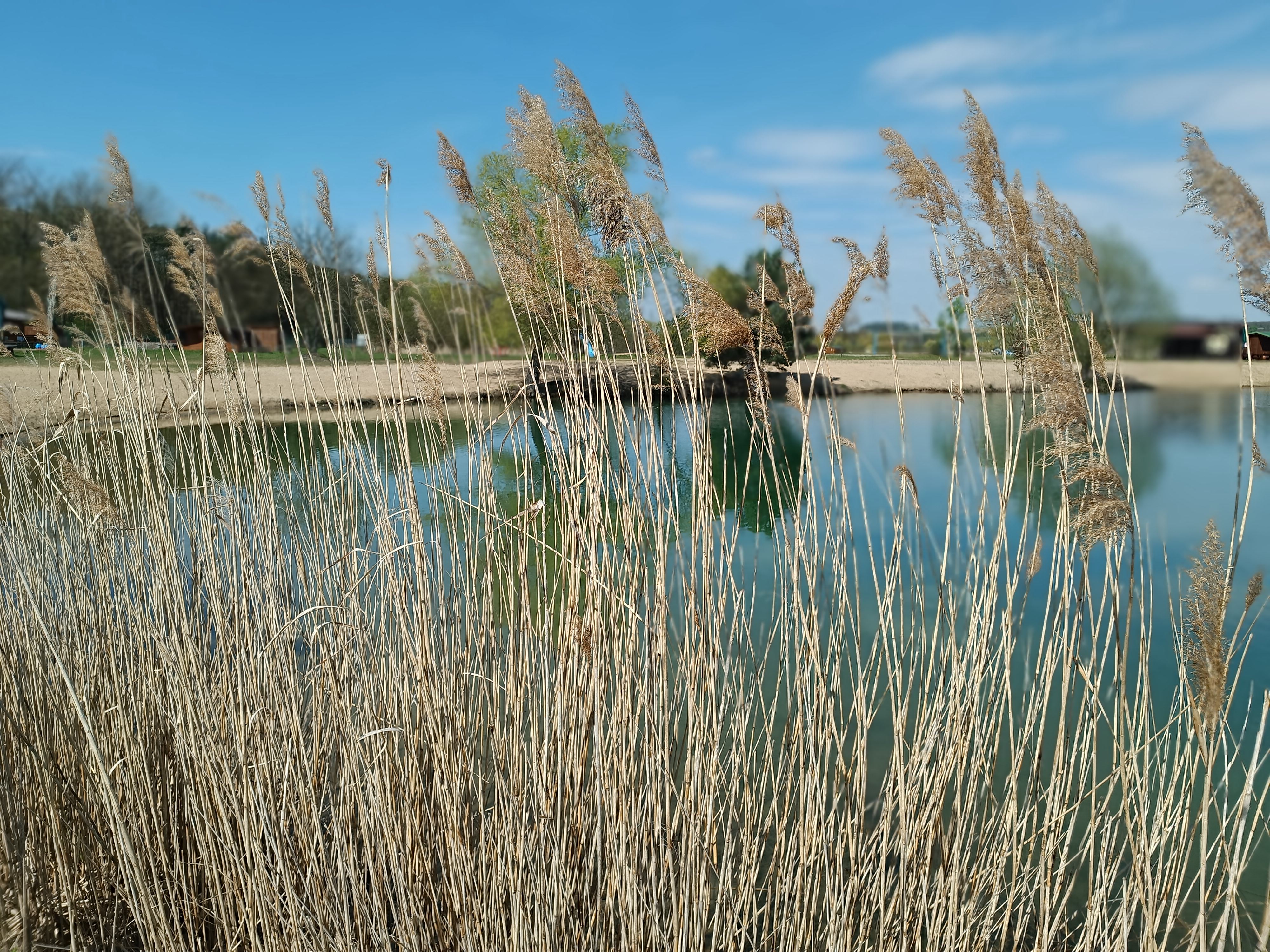 Jezero Konětopy foto 3