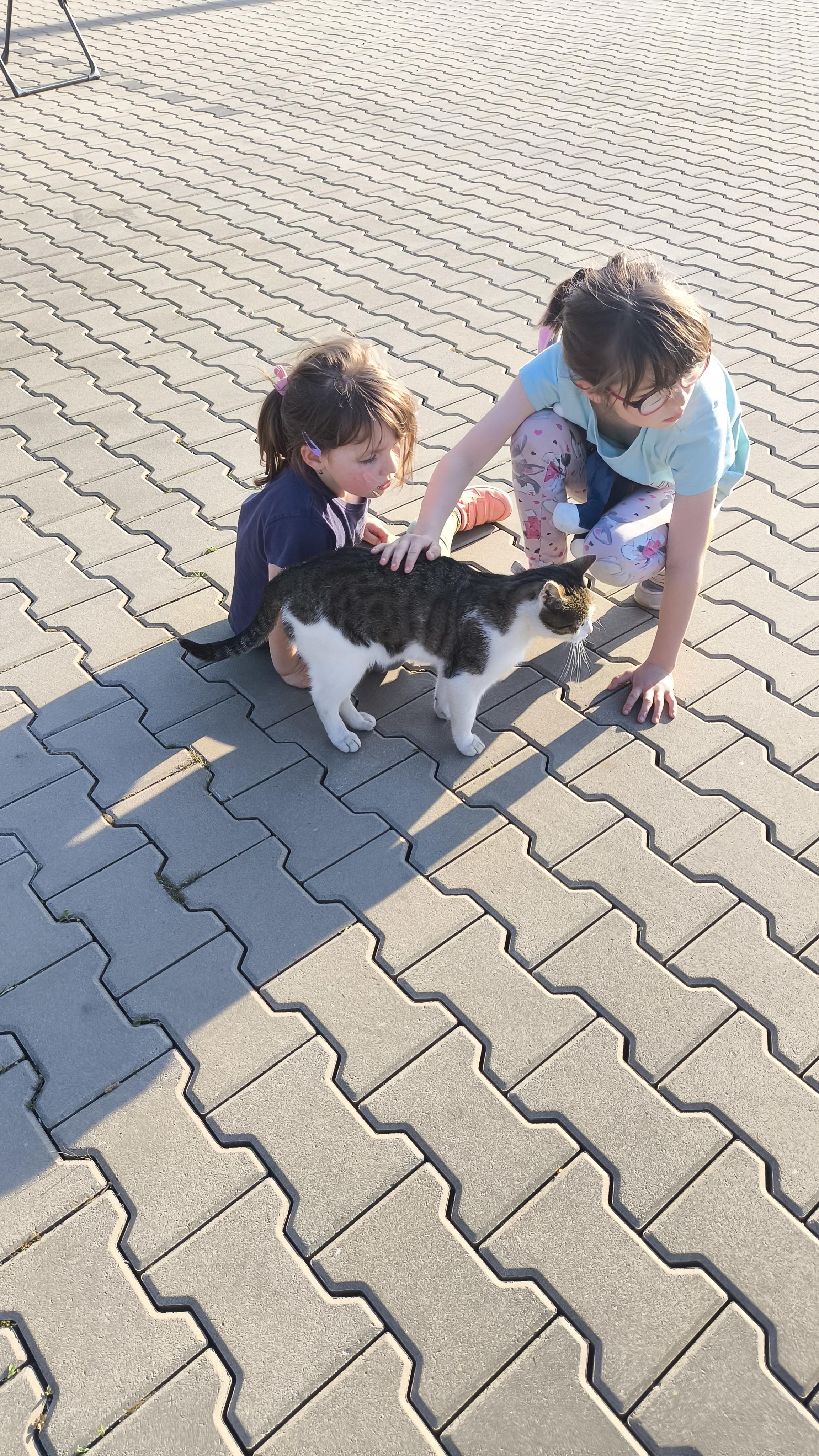 Karavanové stání Orlová foto 6