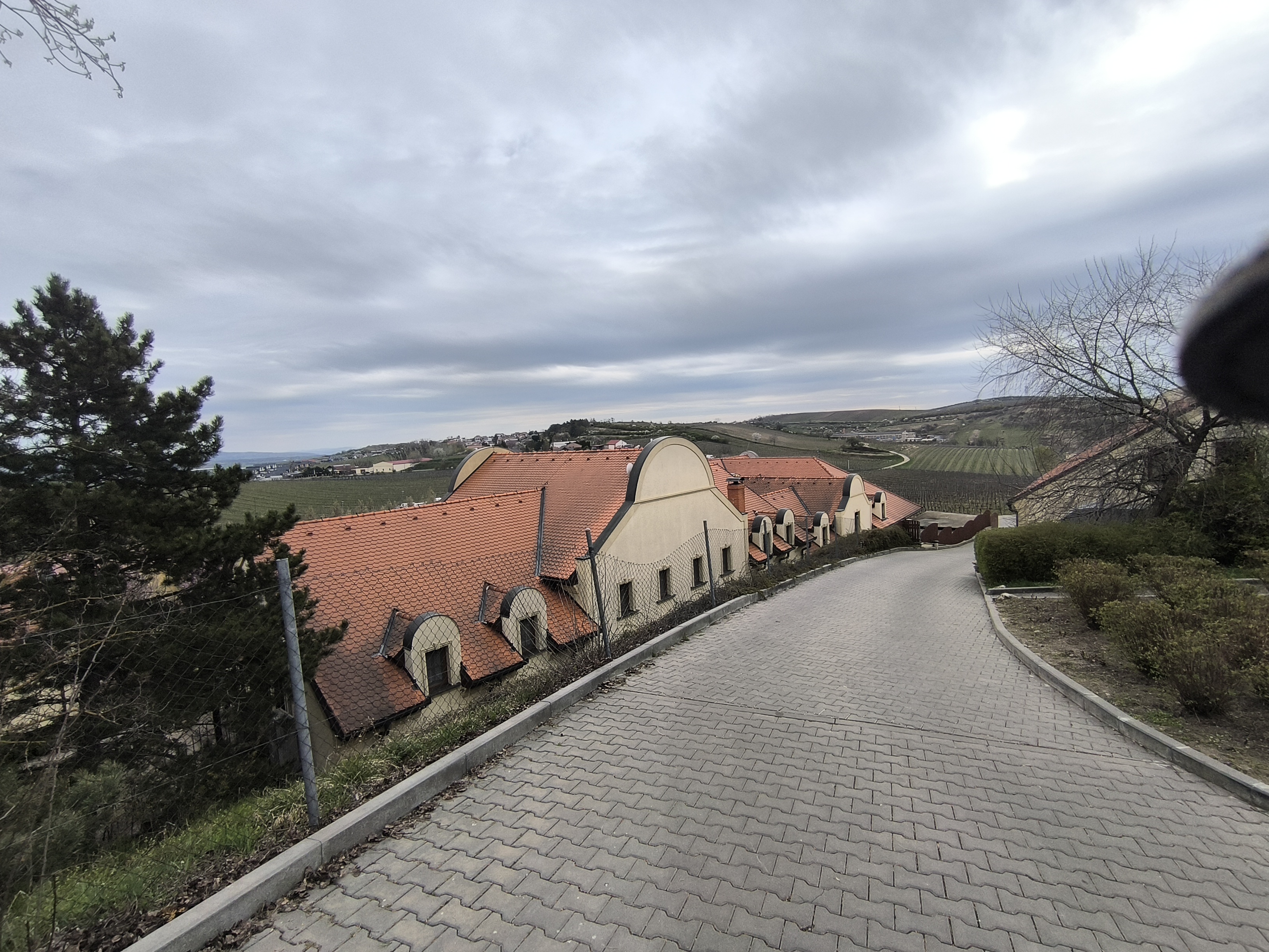 Vinařství U Kapličky, s.r.o. foto 4