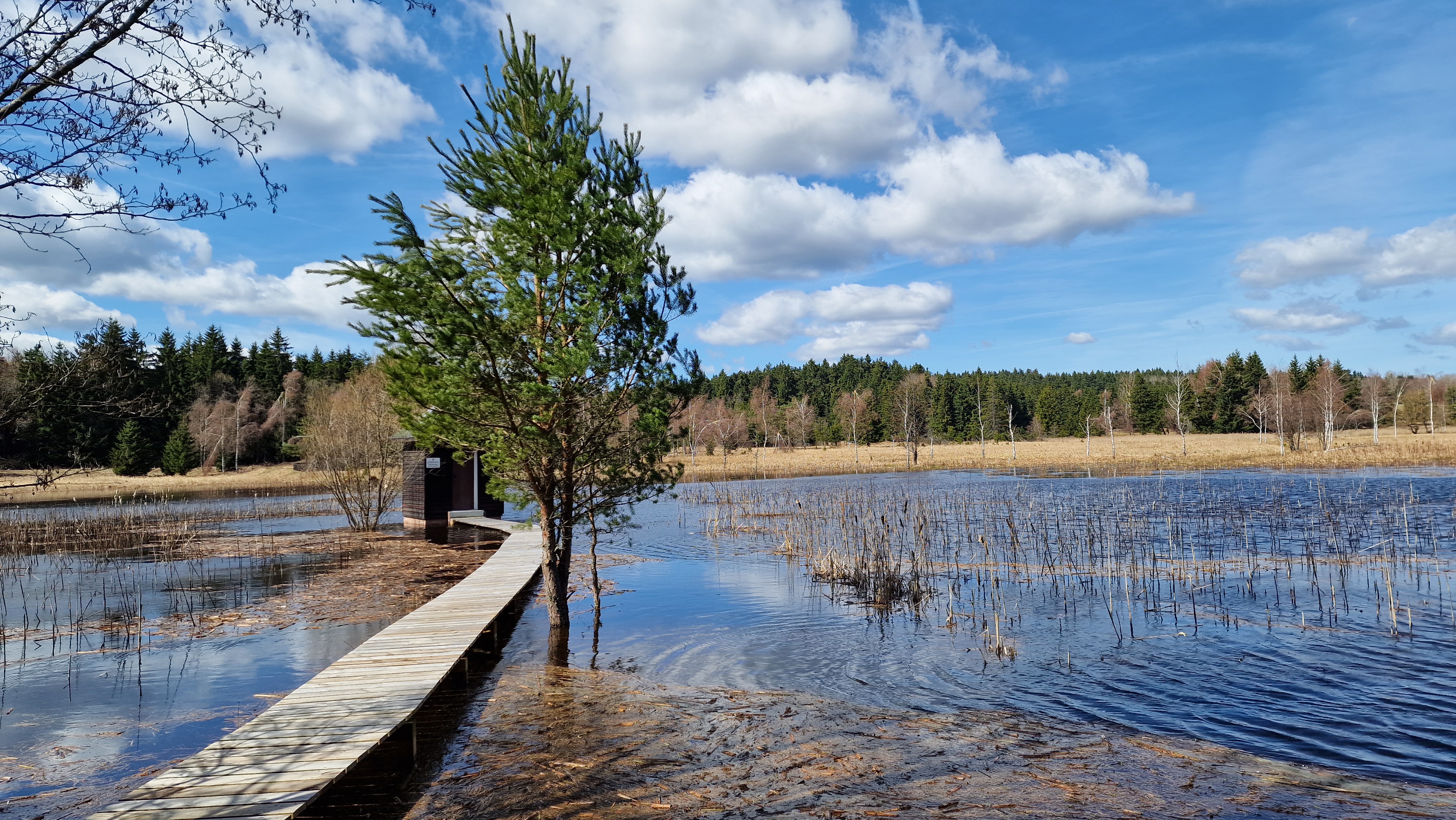 Pavlína Krejníková foto 5
