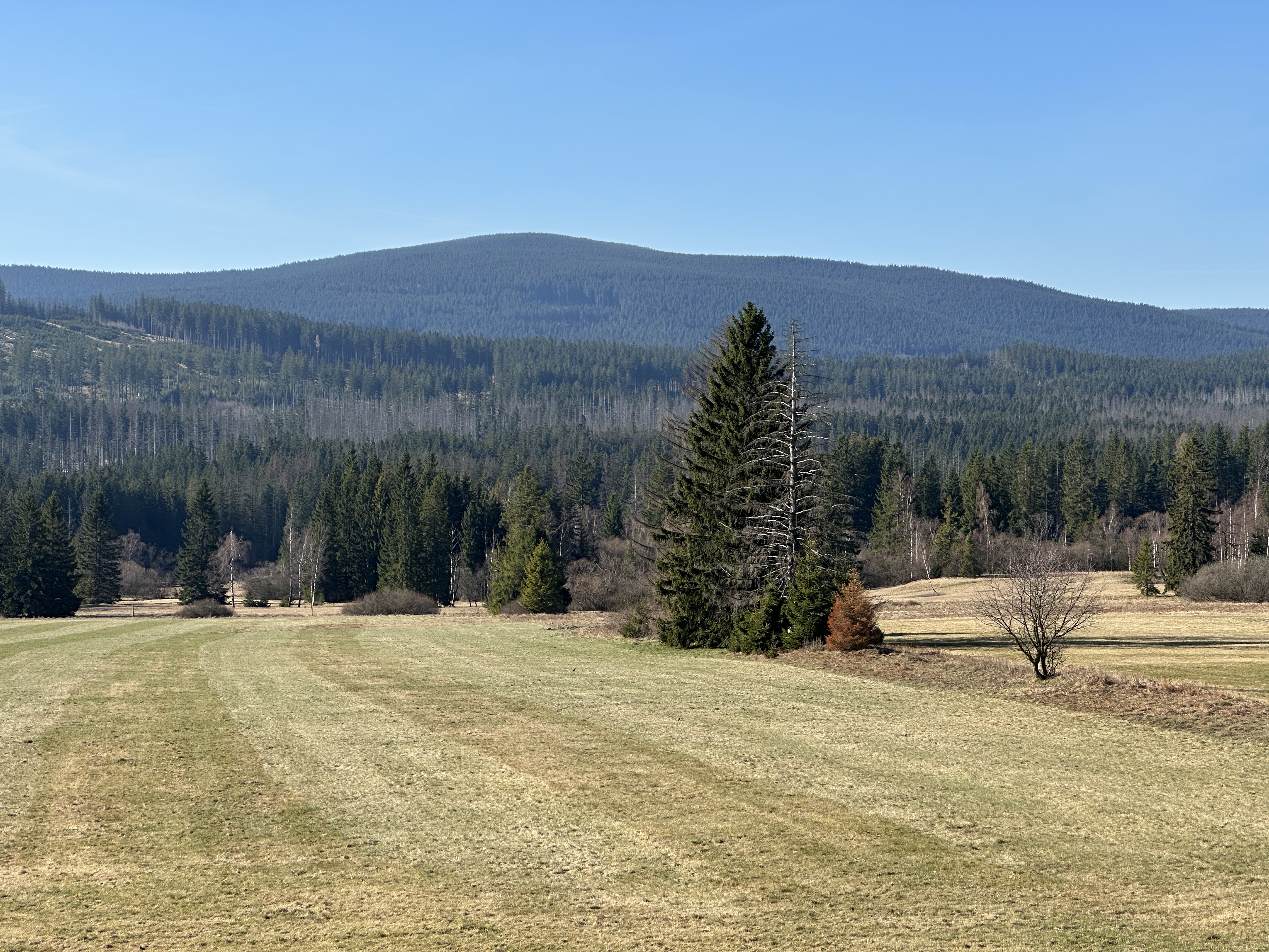 Apartmán U Součků foto 3