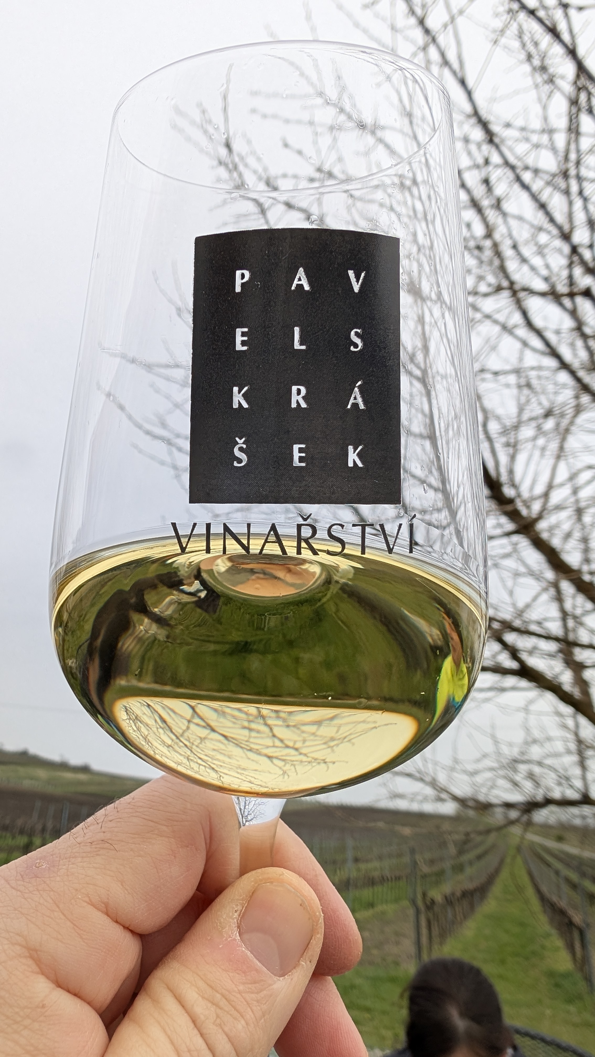 Vinařství Perná foto 2