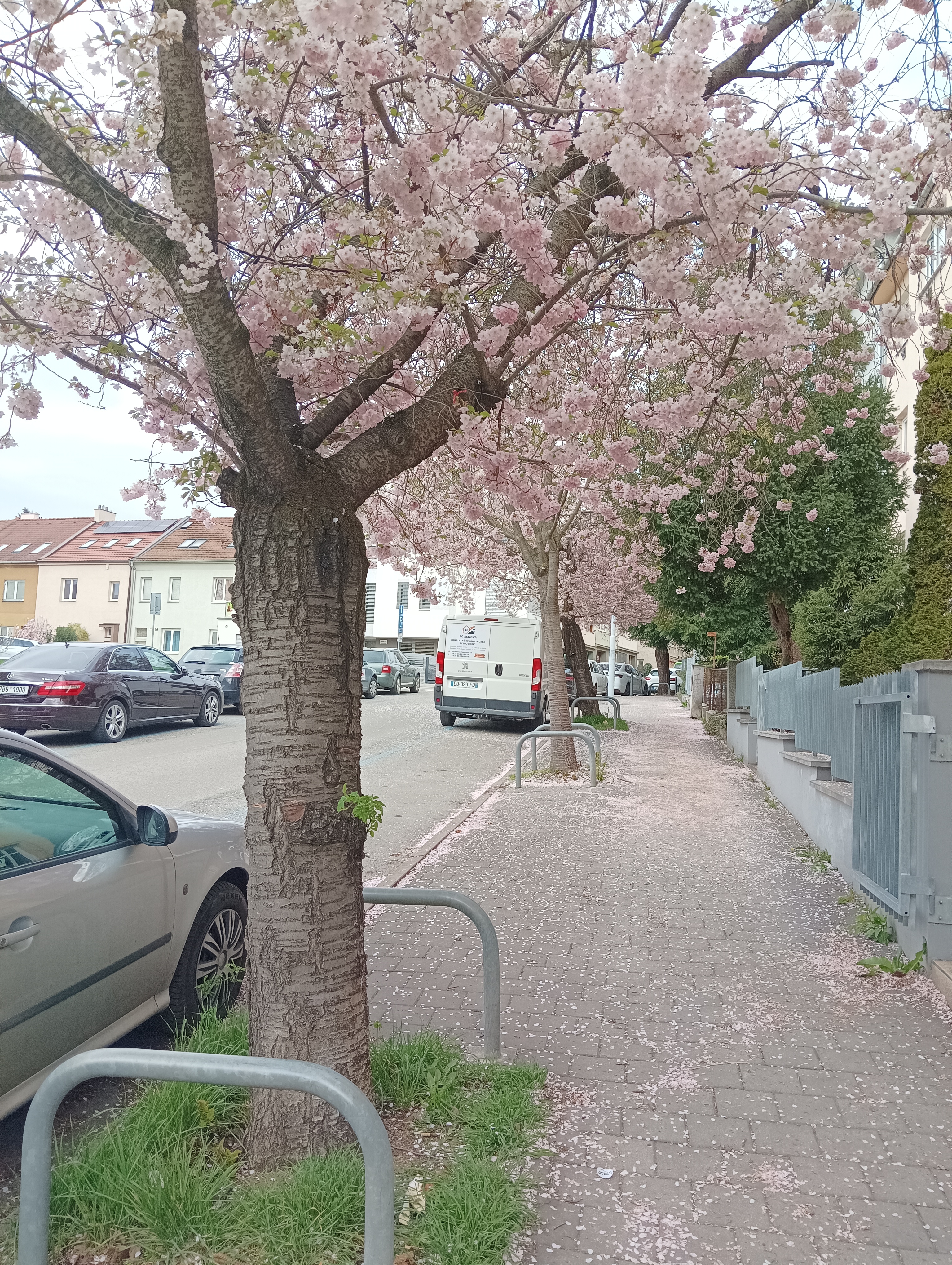 KRÁTKÝ KAFE foto 5