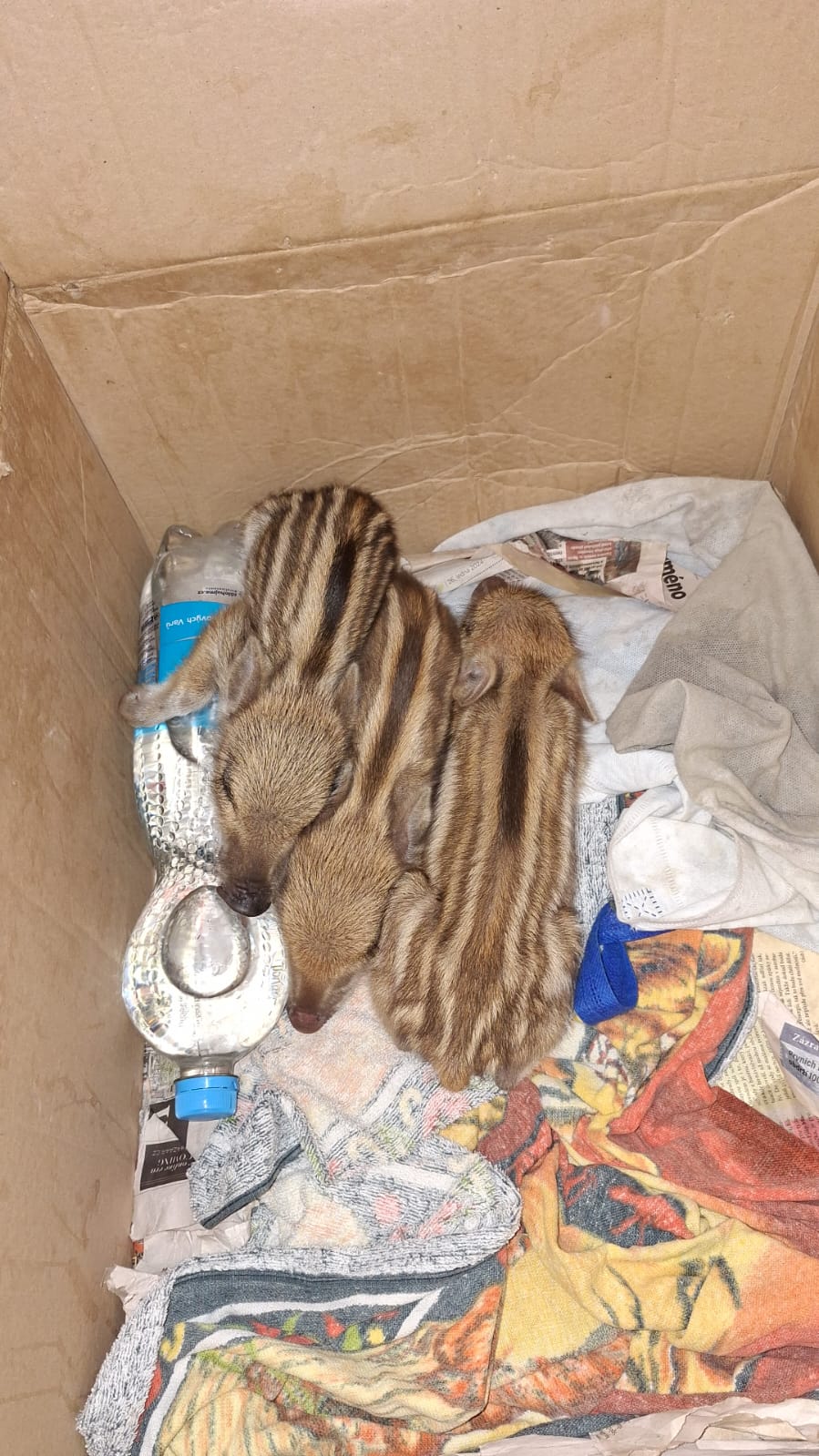 Záchranná stanice Velký Chlumec foto 2