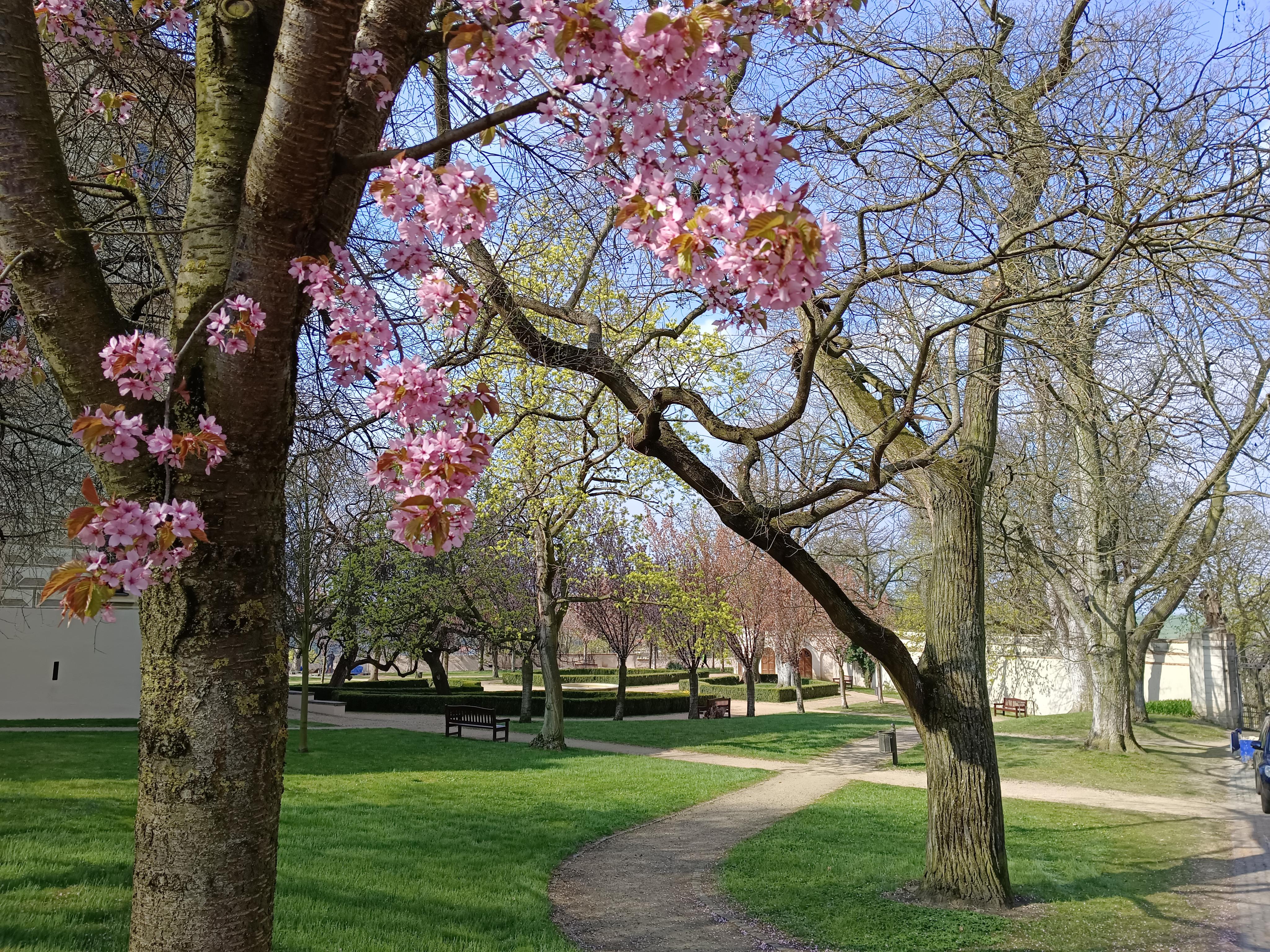 Benátecký zámek foto 6