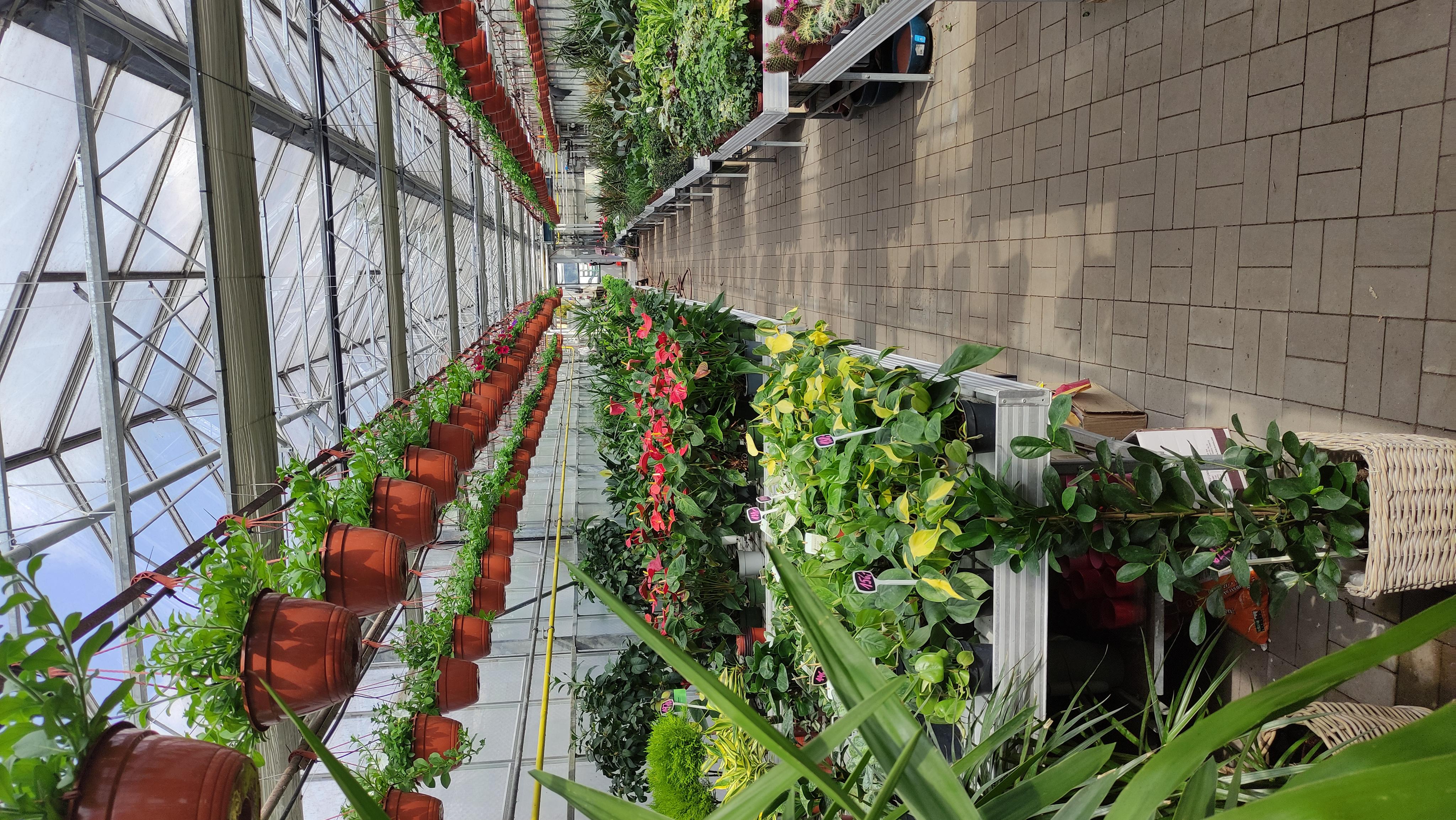 Zahradnictví Škoda foto 5