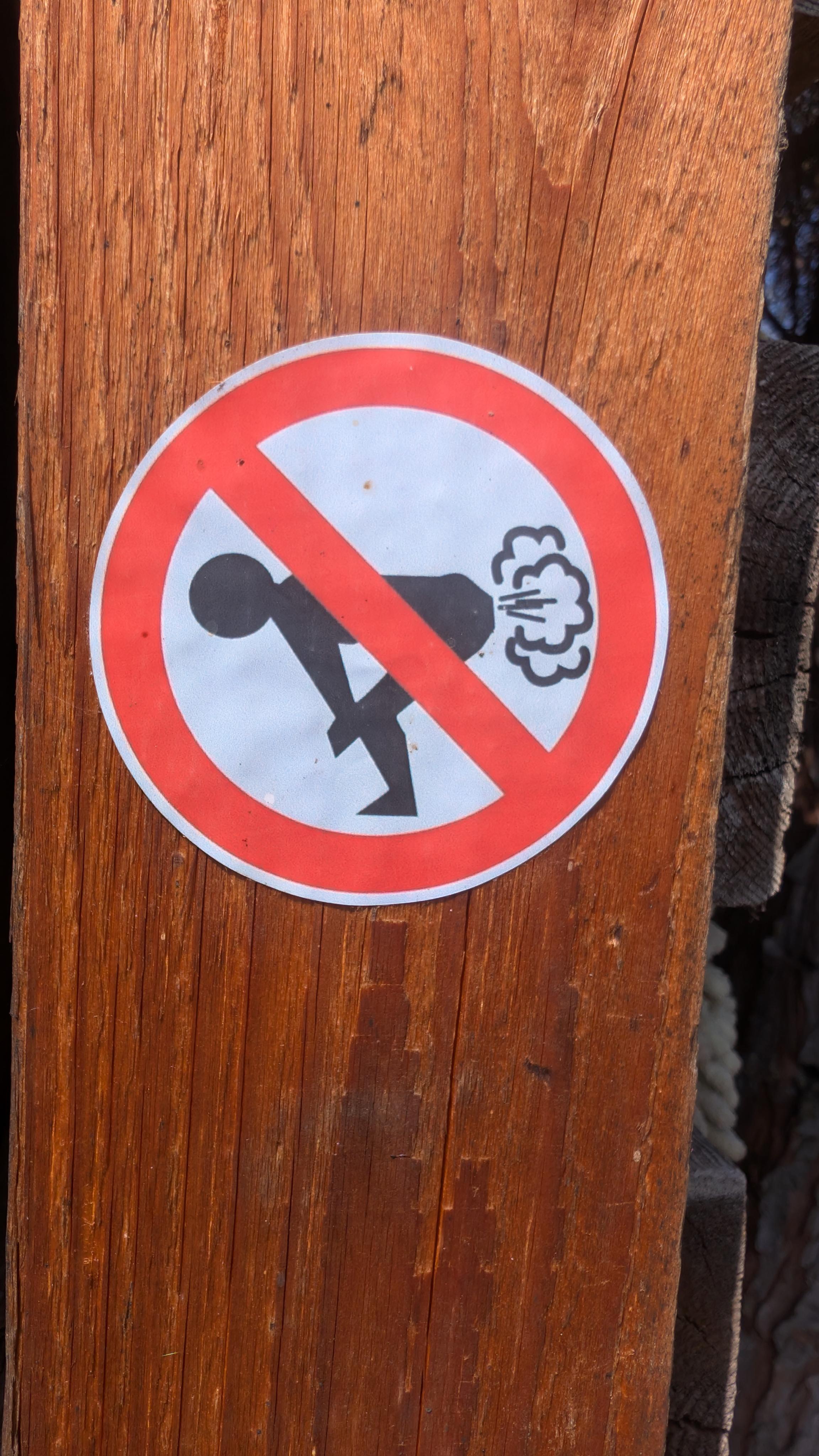 Zahradnictví Rypáček s.r.o. foto 3