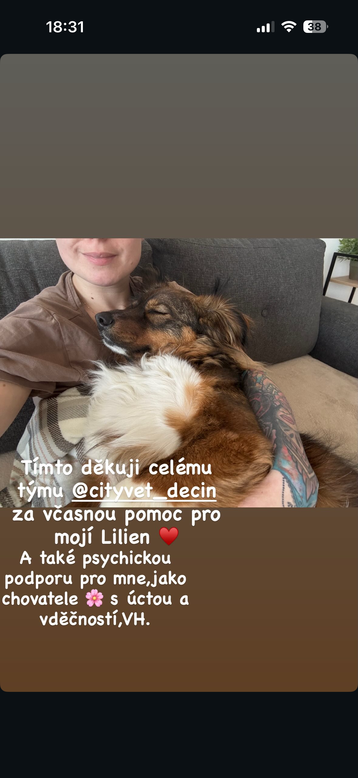 cityVET foto 2