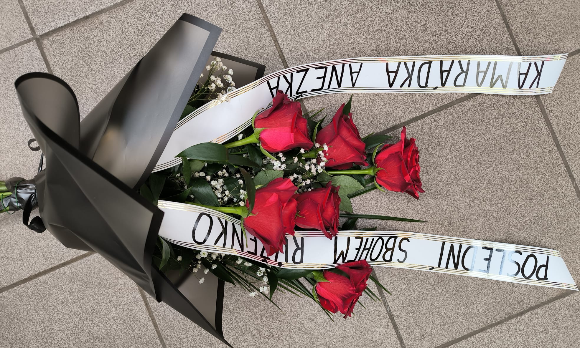 Mimosa květiny s. r. o. foto 5