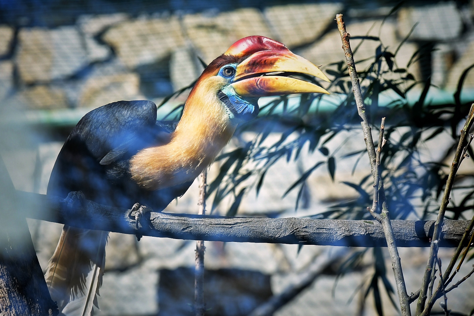 Zoo a zámek Zlín - Lešná foto 5