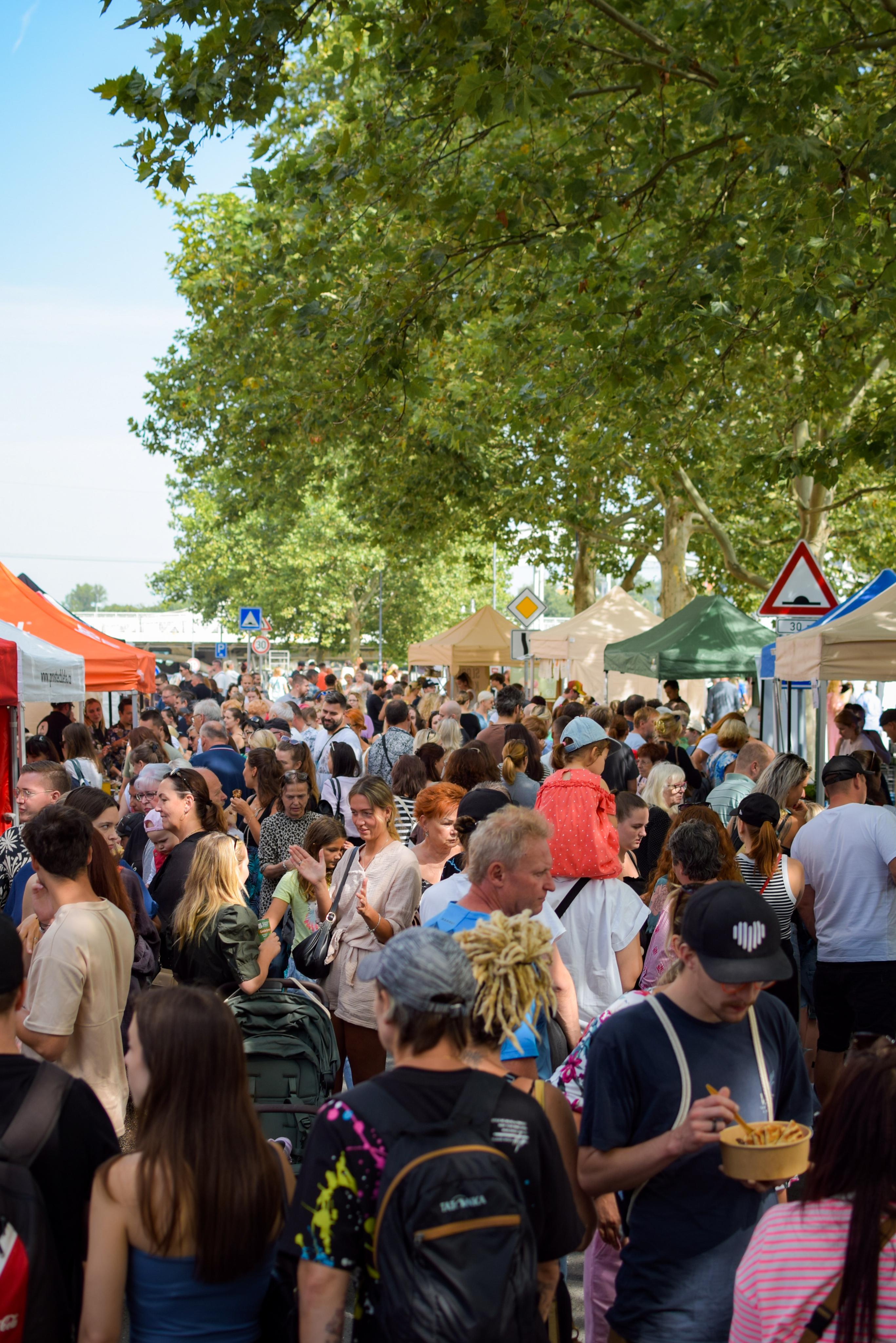 Trhy, co se hledají na Malé Kodani foto 4