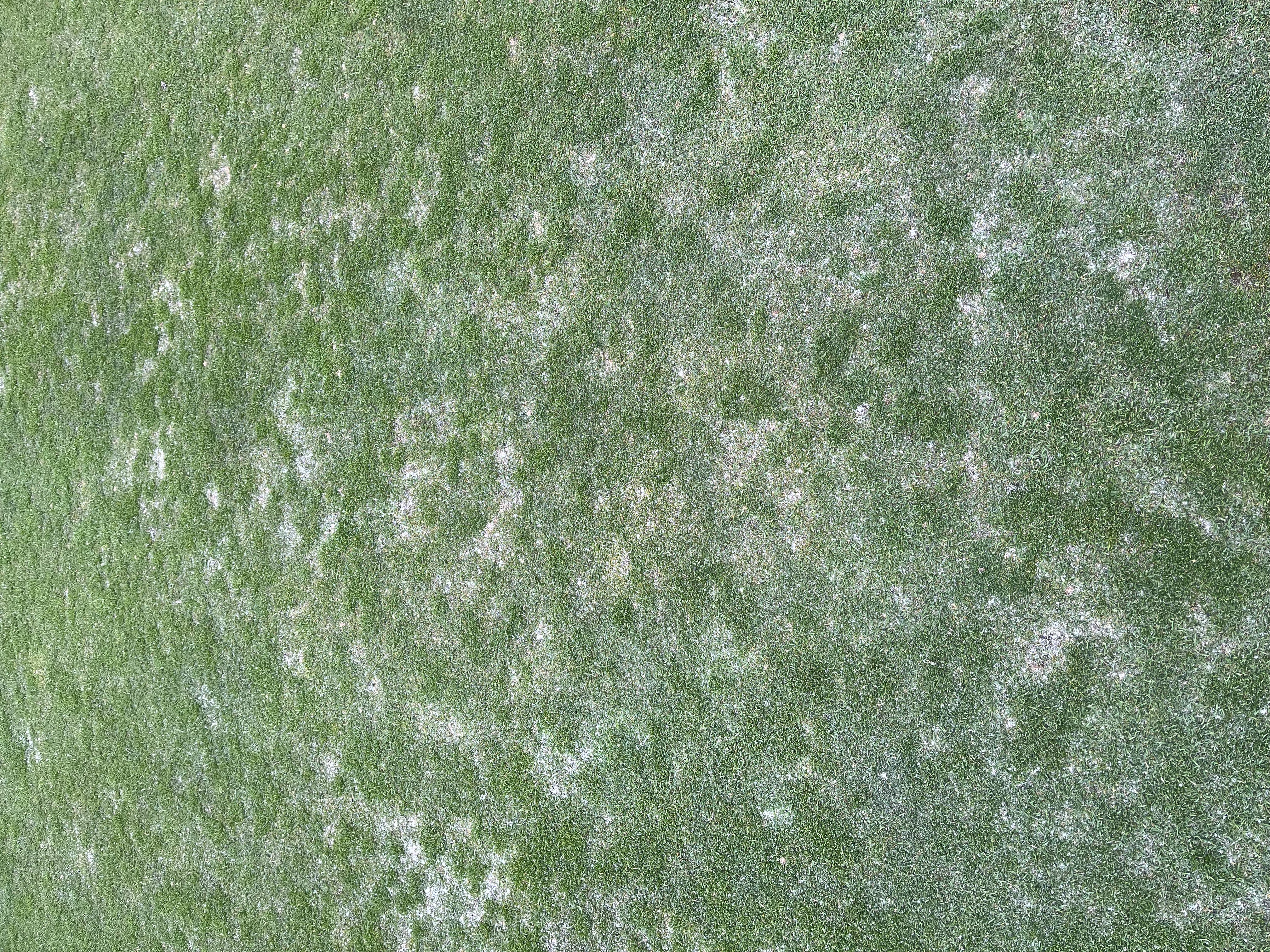 Royal Beroun Golf Club foto 3