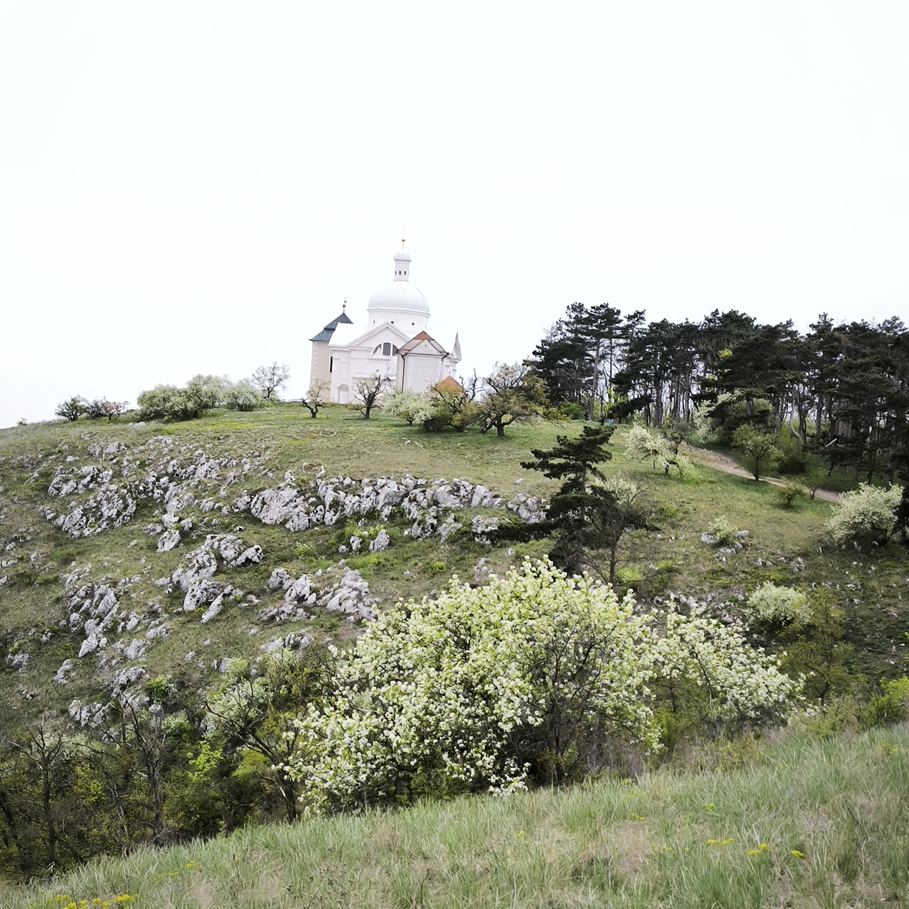 Apartmány in Veritas foto 6