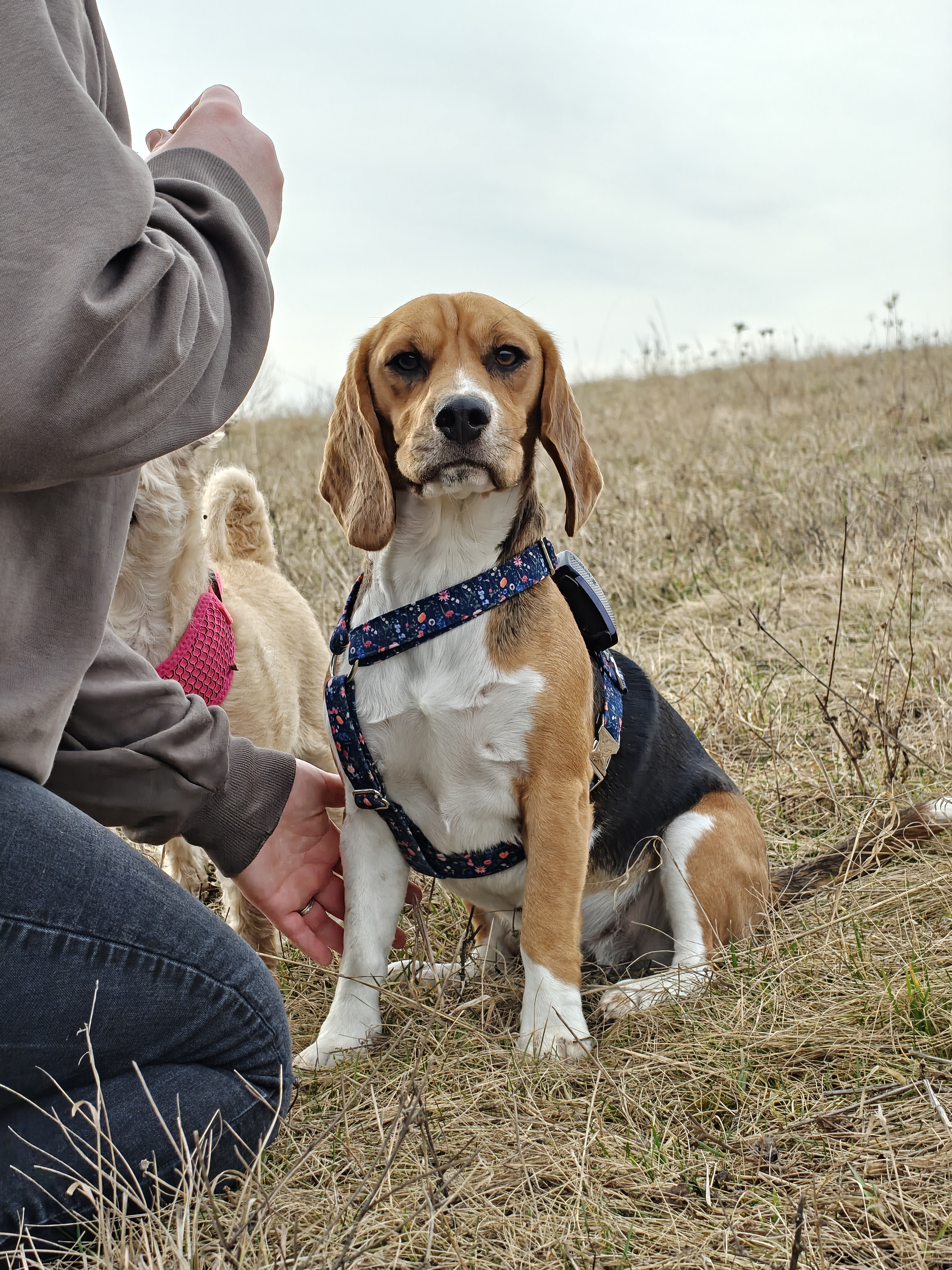 Hlídání u Pavlínky foto 4