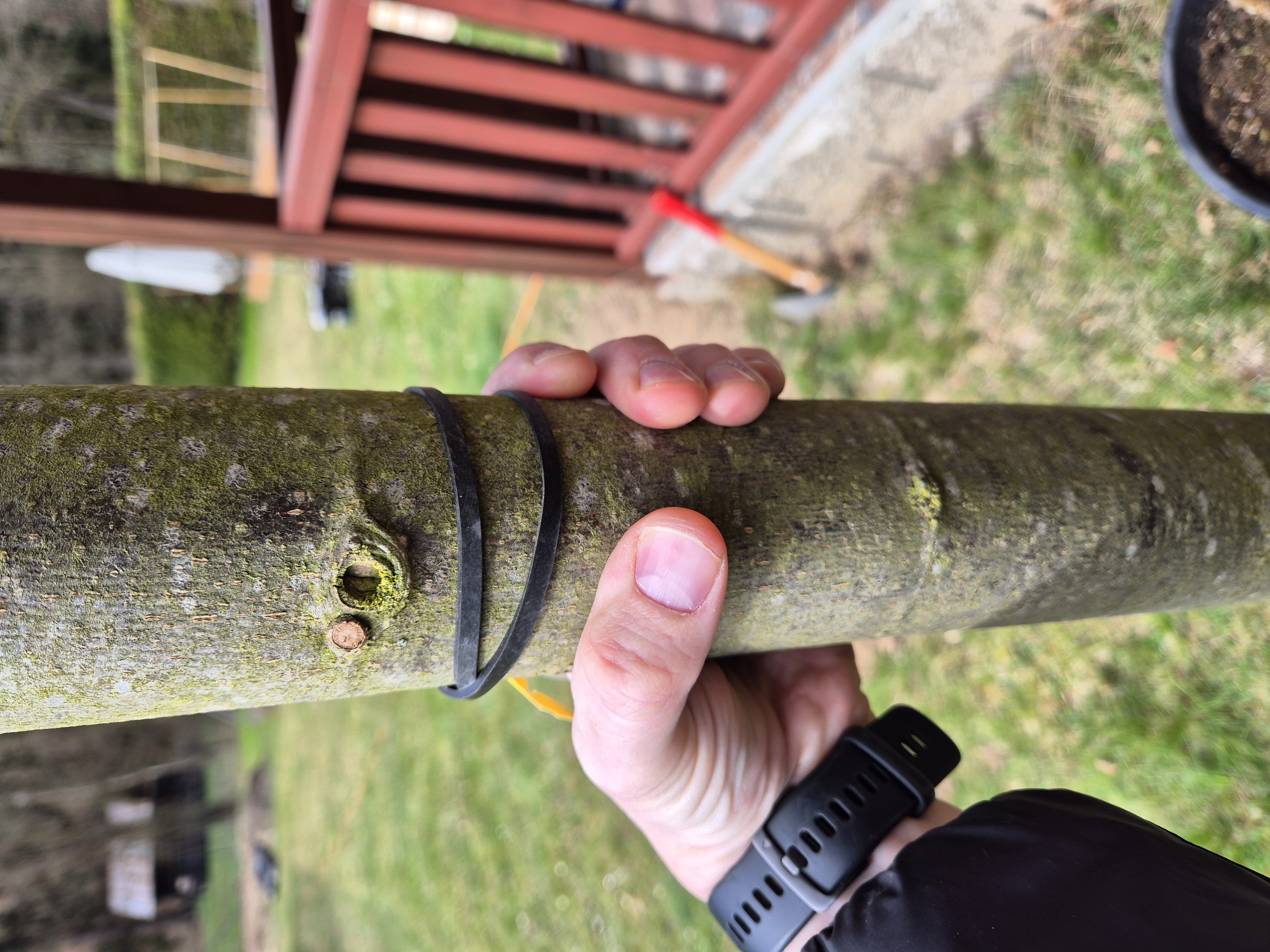 Tomáš Kopřiva - Arboristika a rizikové kácení foto 5
