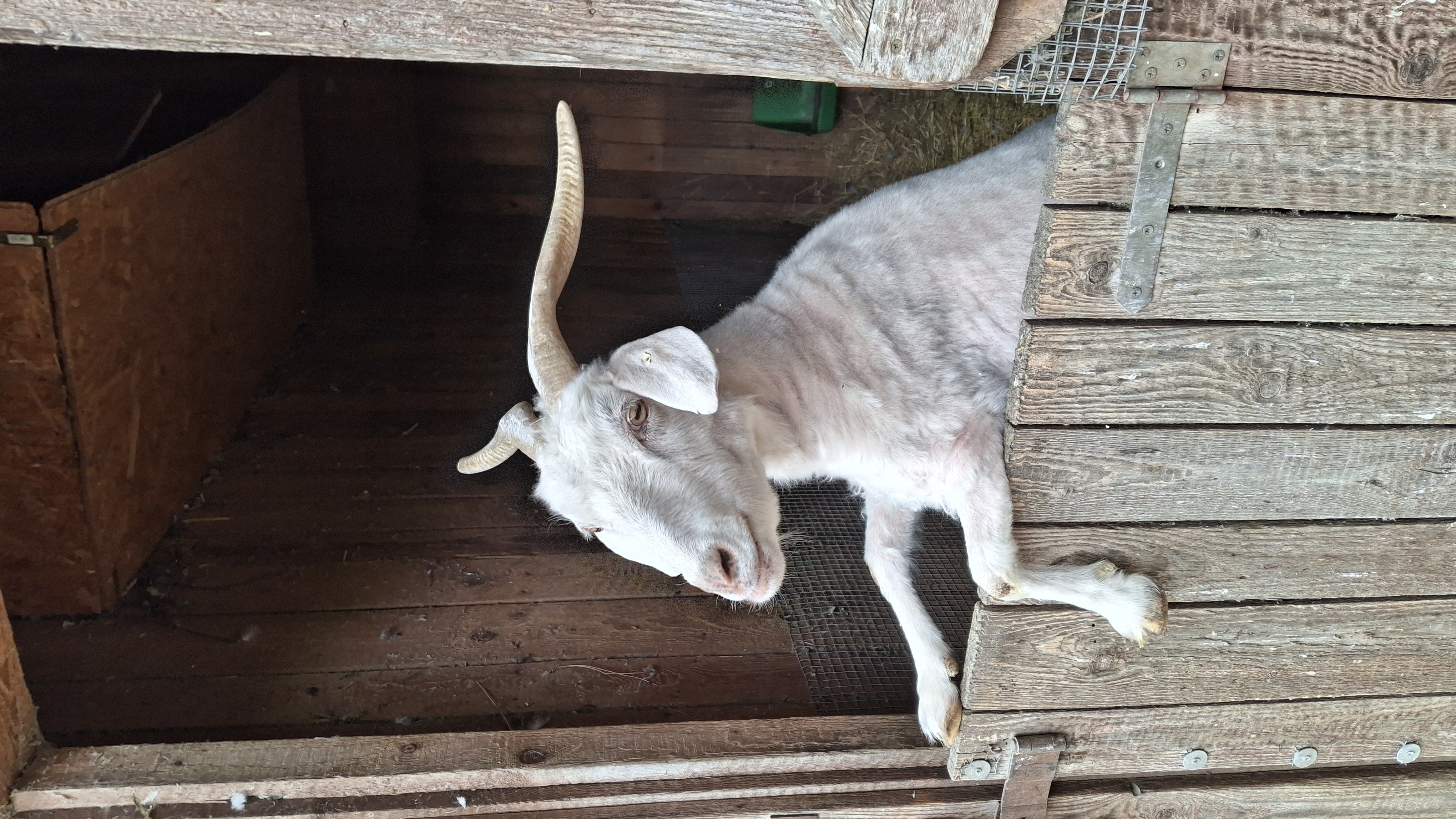 Farma Duběnka foto 2