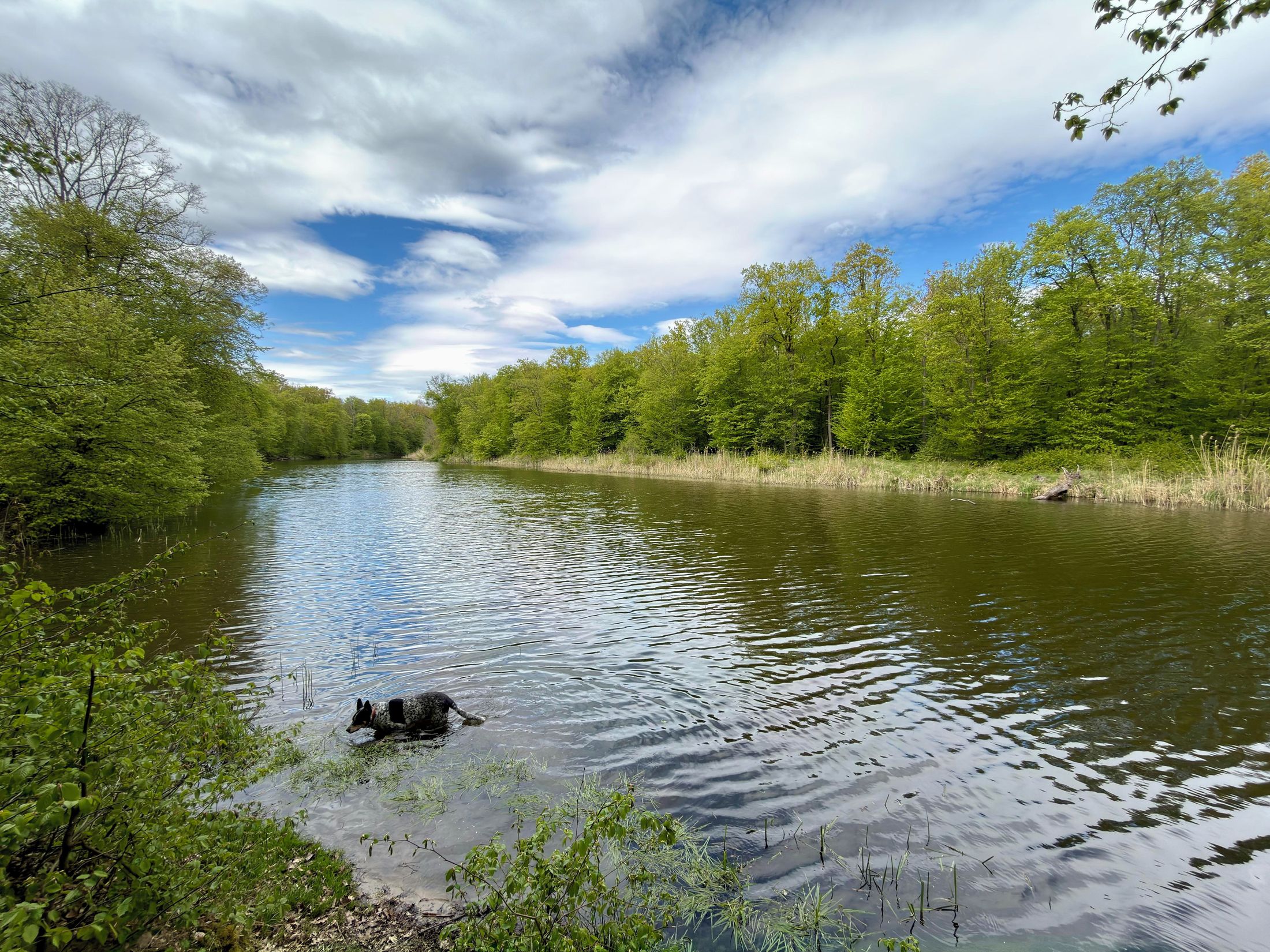 zbiorniki wodne Janówek
