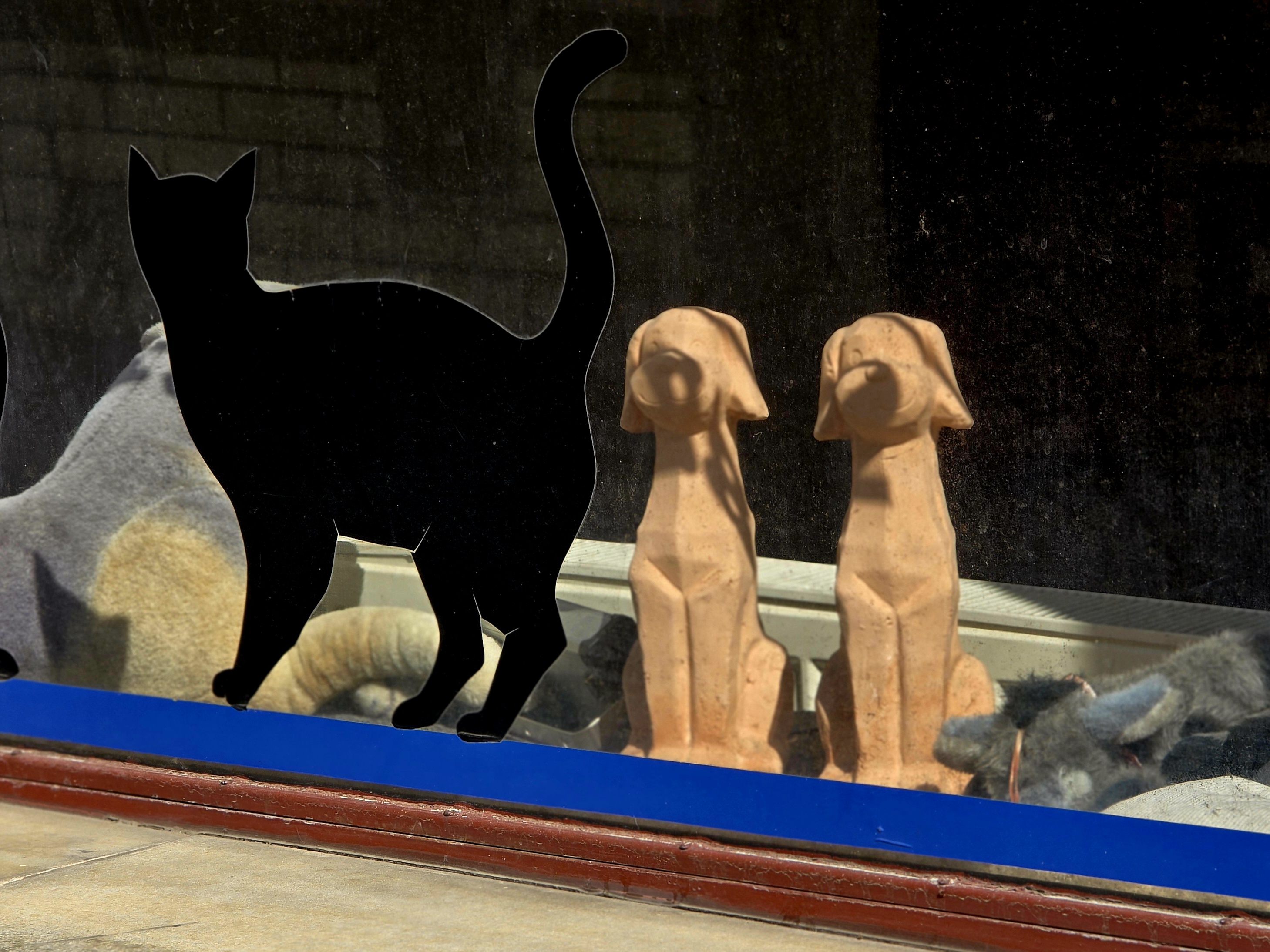 MVDr. Antonín Hanzl - Vetrinární klinika foto 2