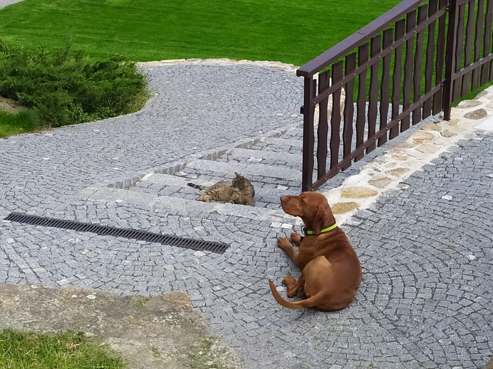 Statek Český dvůr foto 4