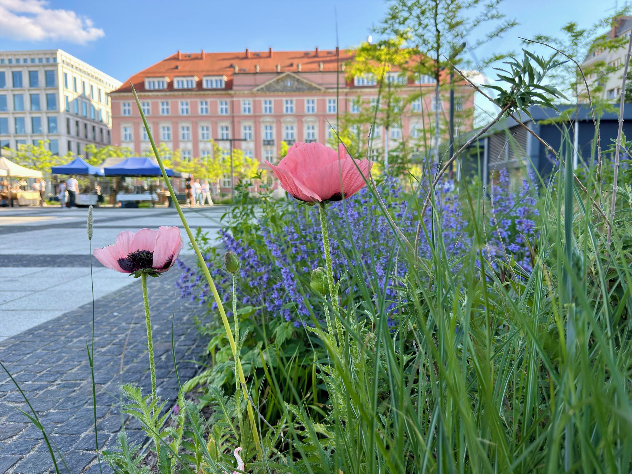 Plac Nowy Targ Wrocław