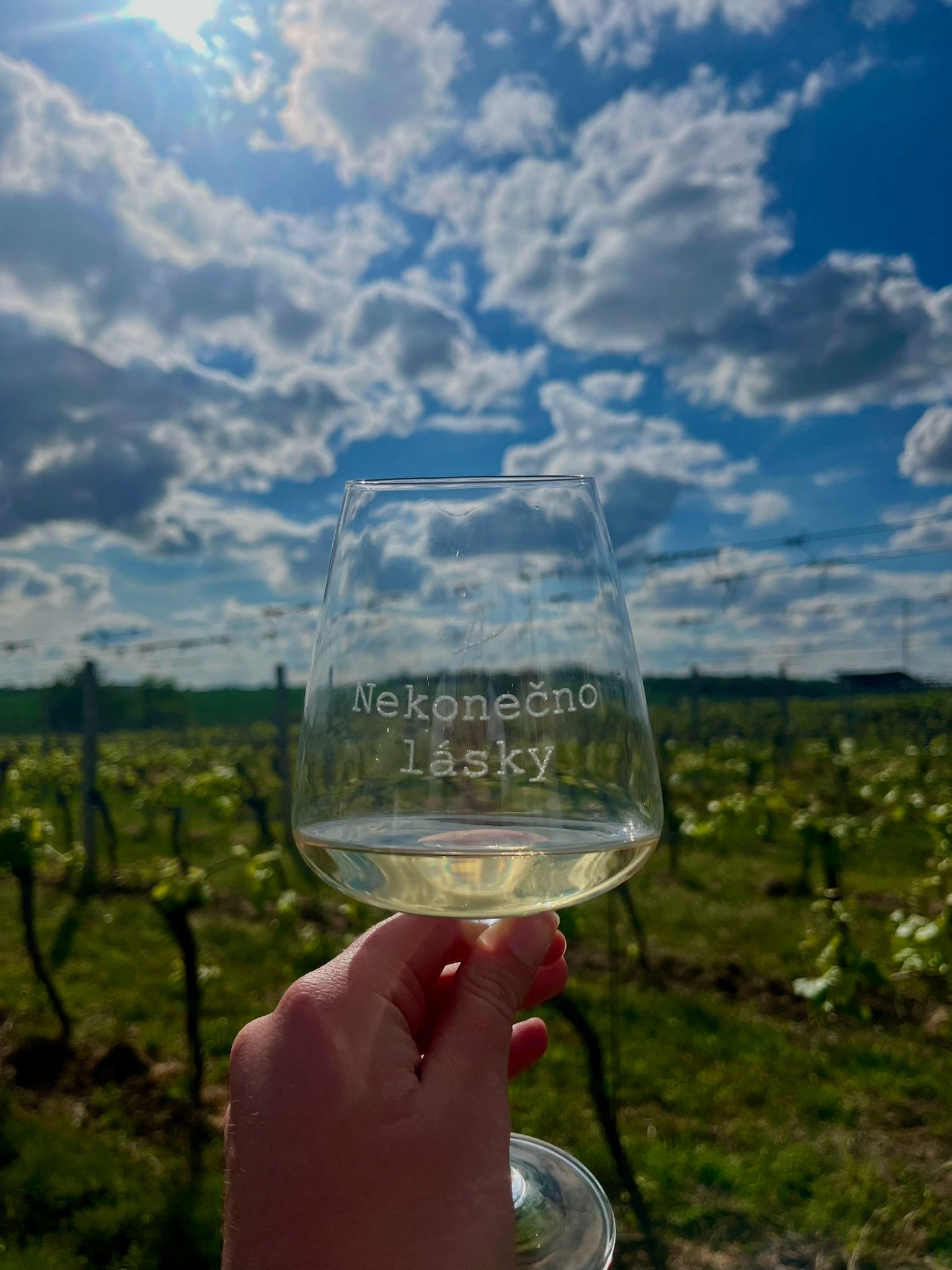 Andulka winery foto 6