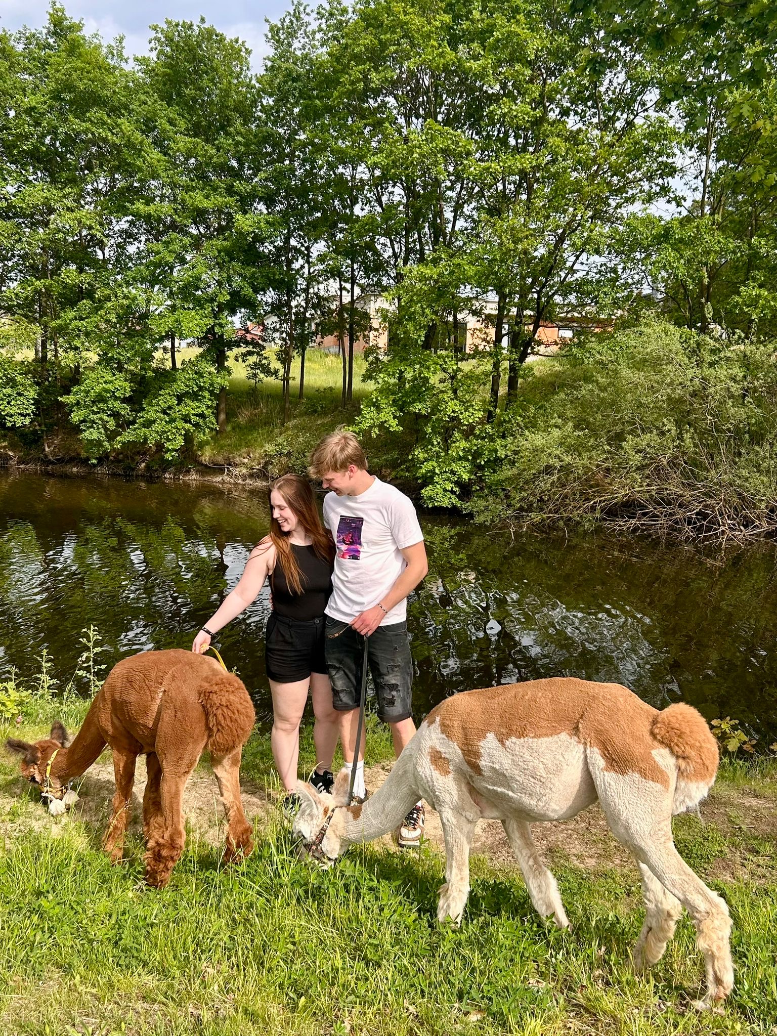 VlnoLamy.cz foto 4