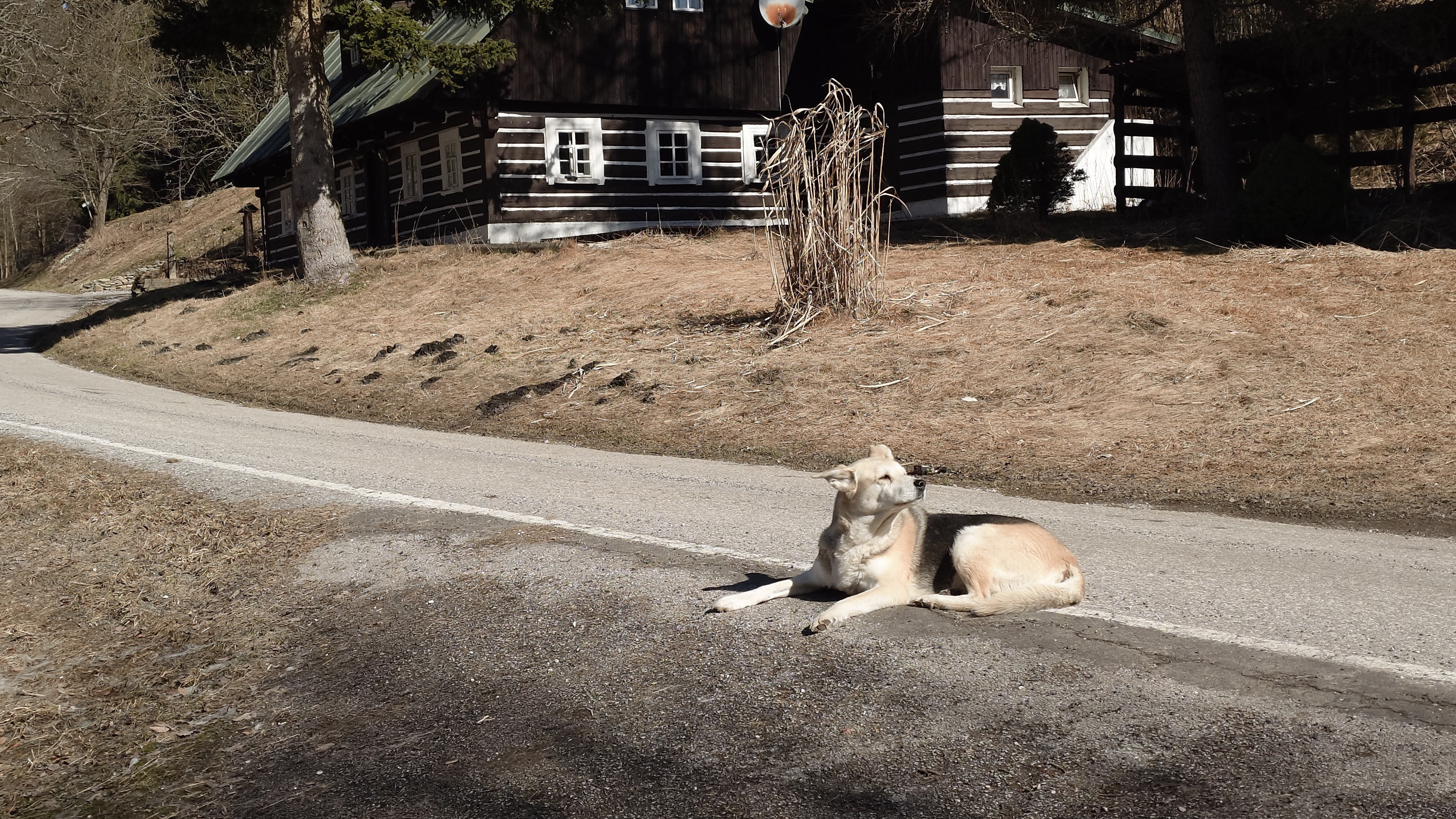 Pension Stará Škola foto 5
