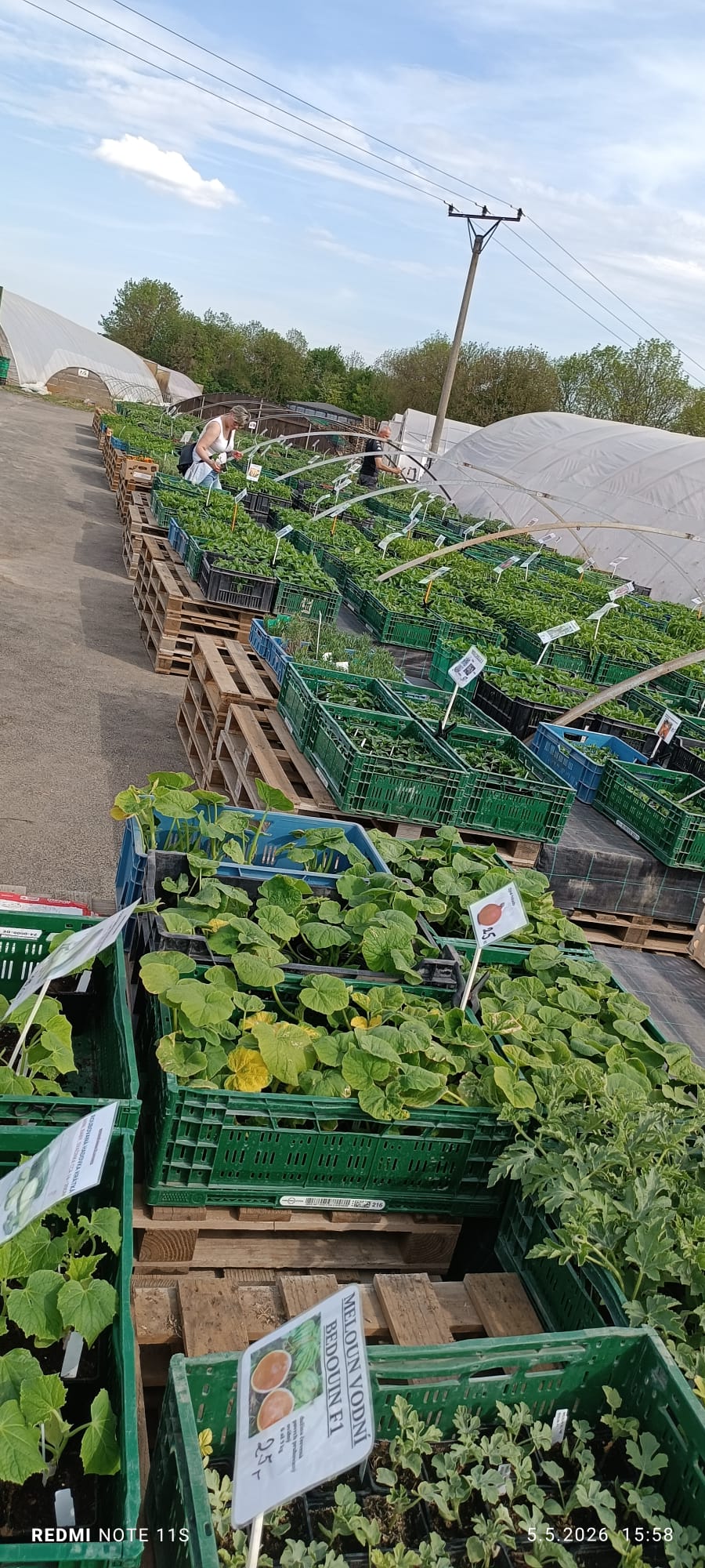Rodinná farma Šlapanice foto 2