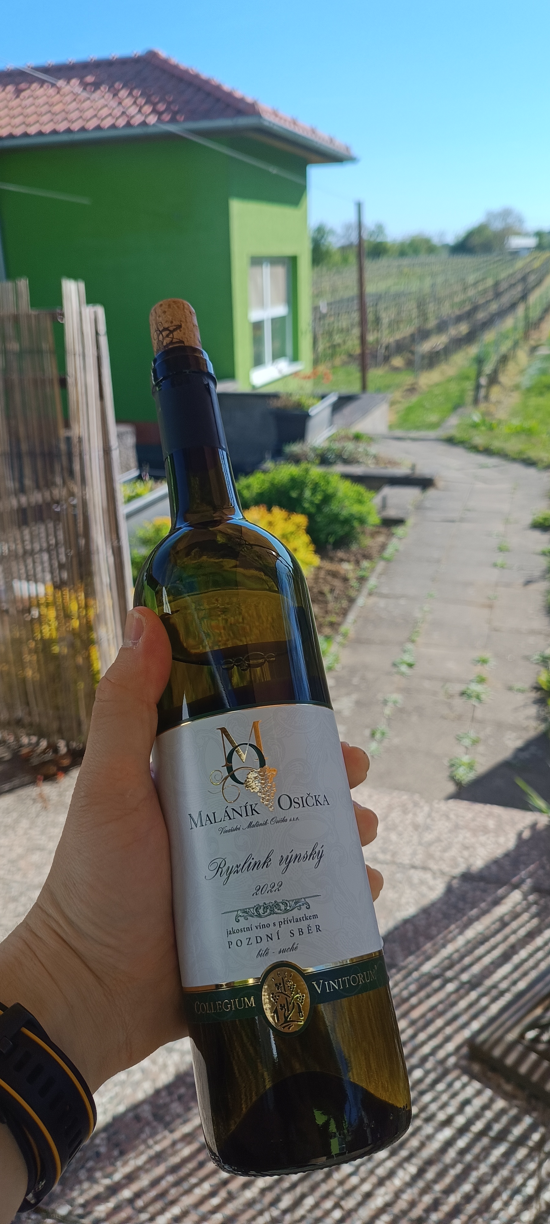 Penzion Vinařství Maláník-Osička foto 2