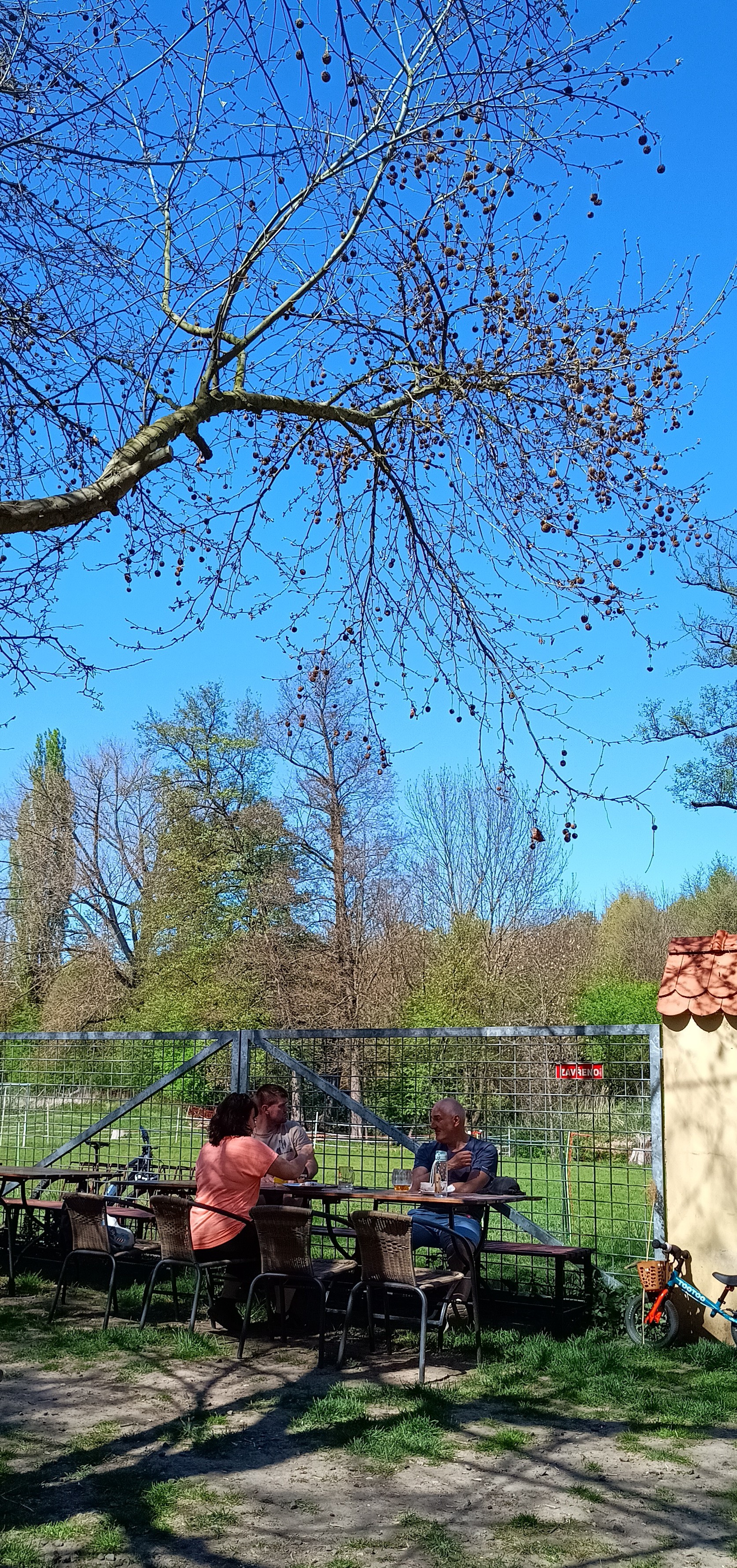 Mlýn Žabonosy foto 6
