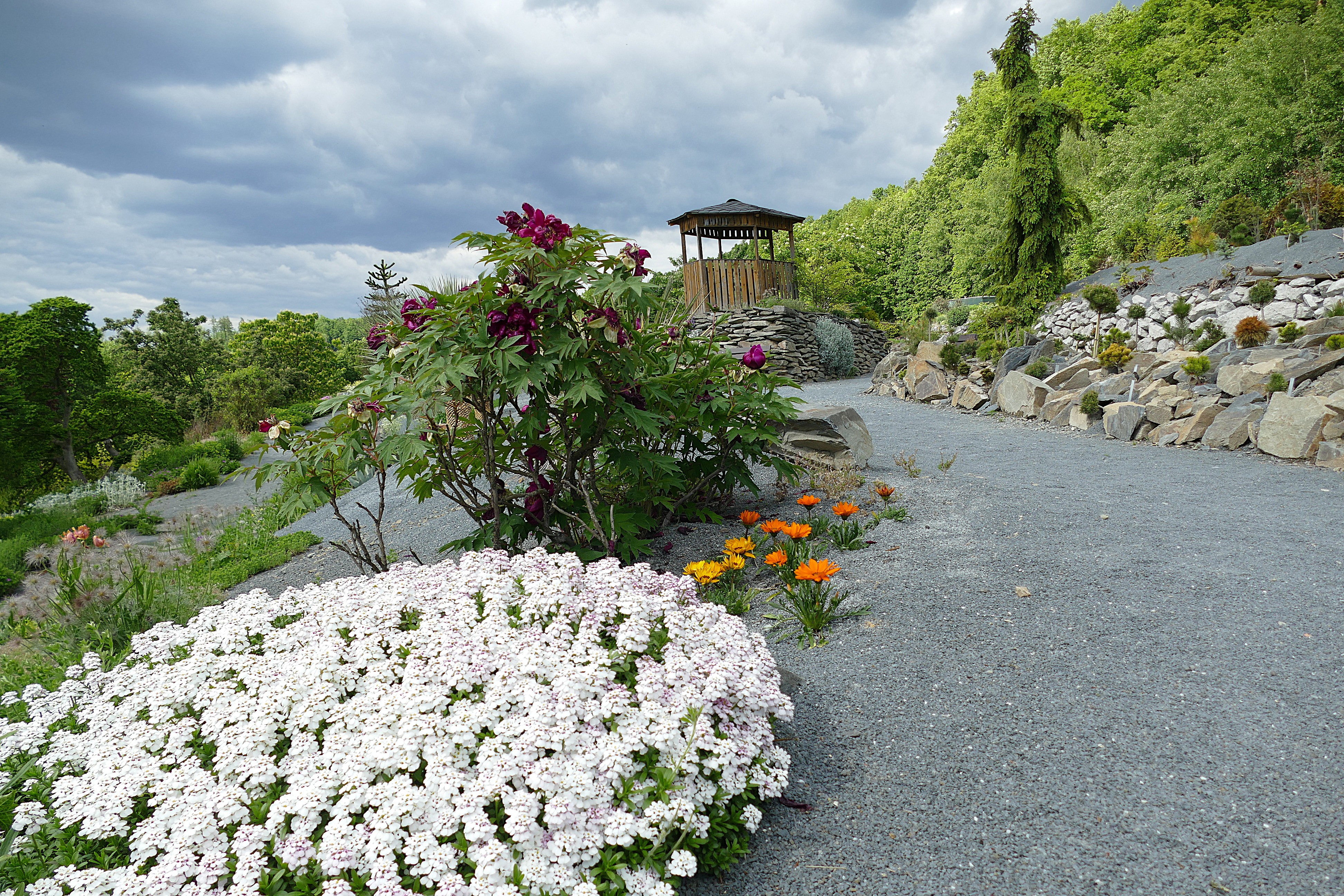 Ing. Radim Slabý - Arboretum Makču Pikču foto 5