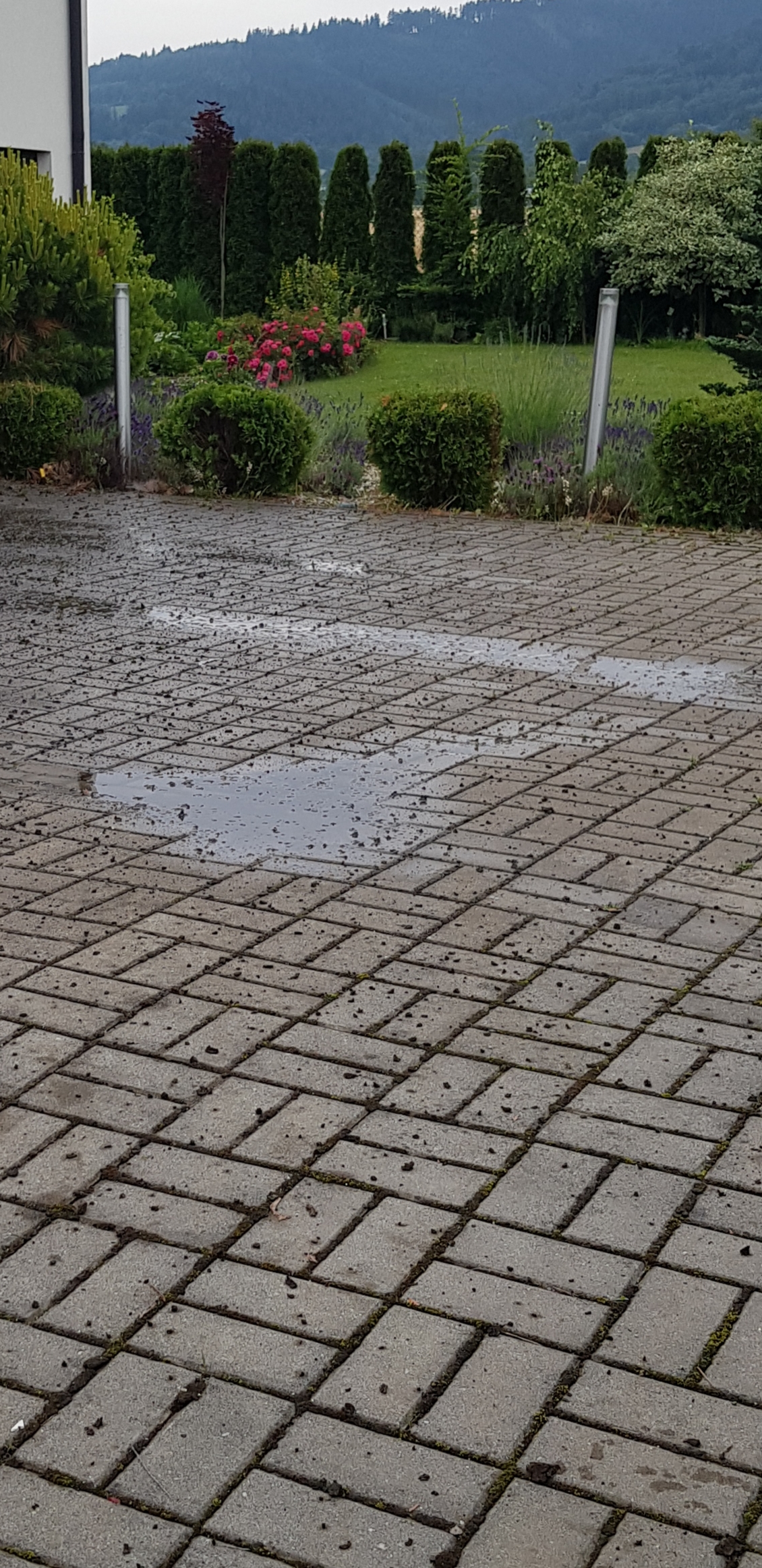 Čistá dlažba foto 6