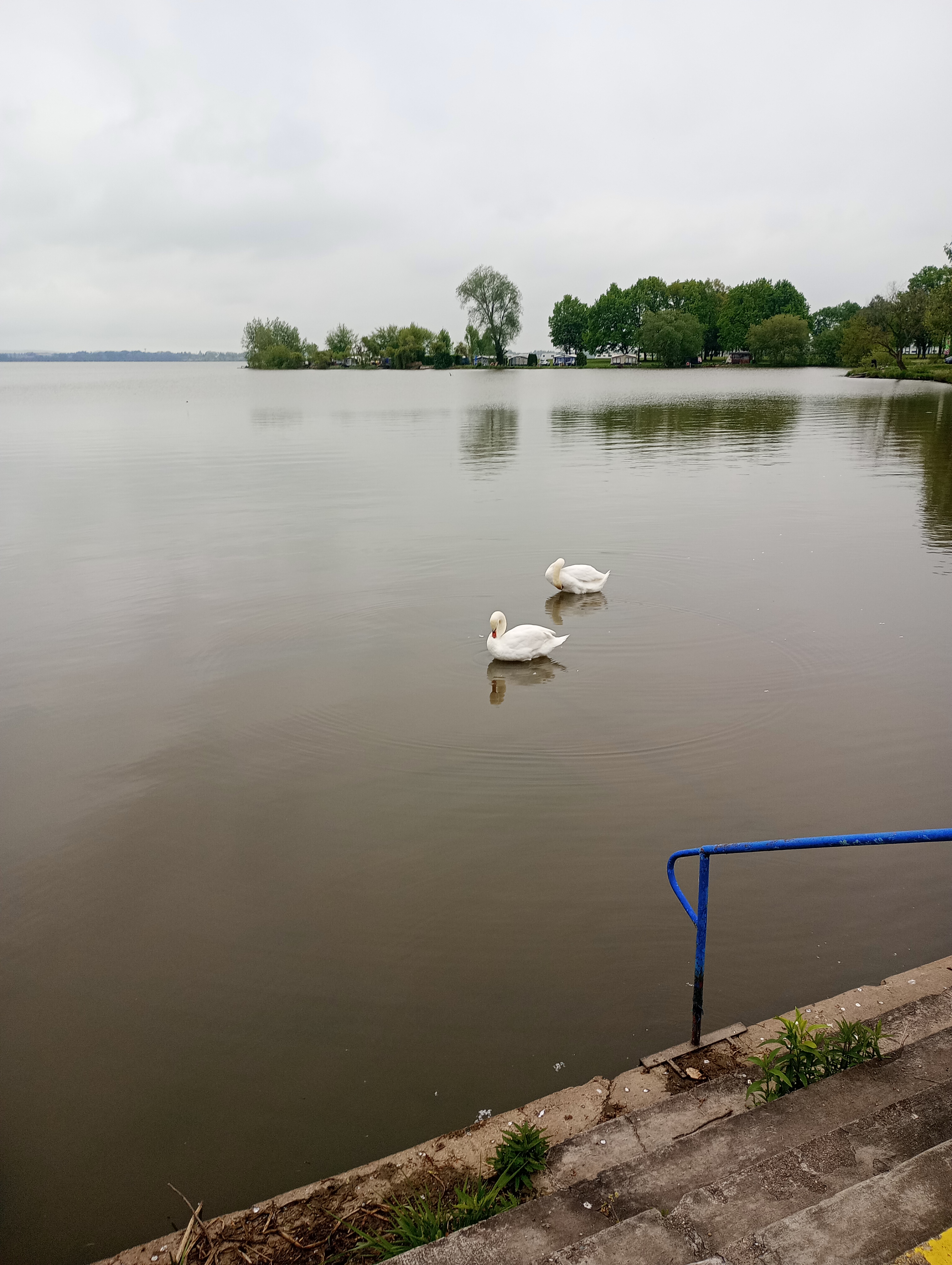 Koupaliště Rozkoš foto 2