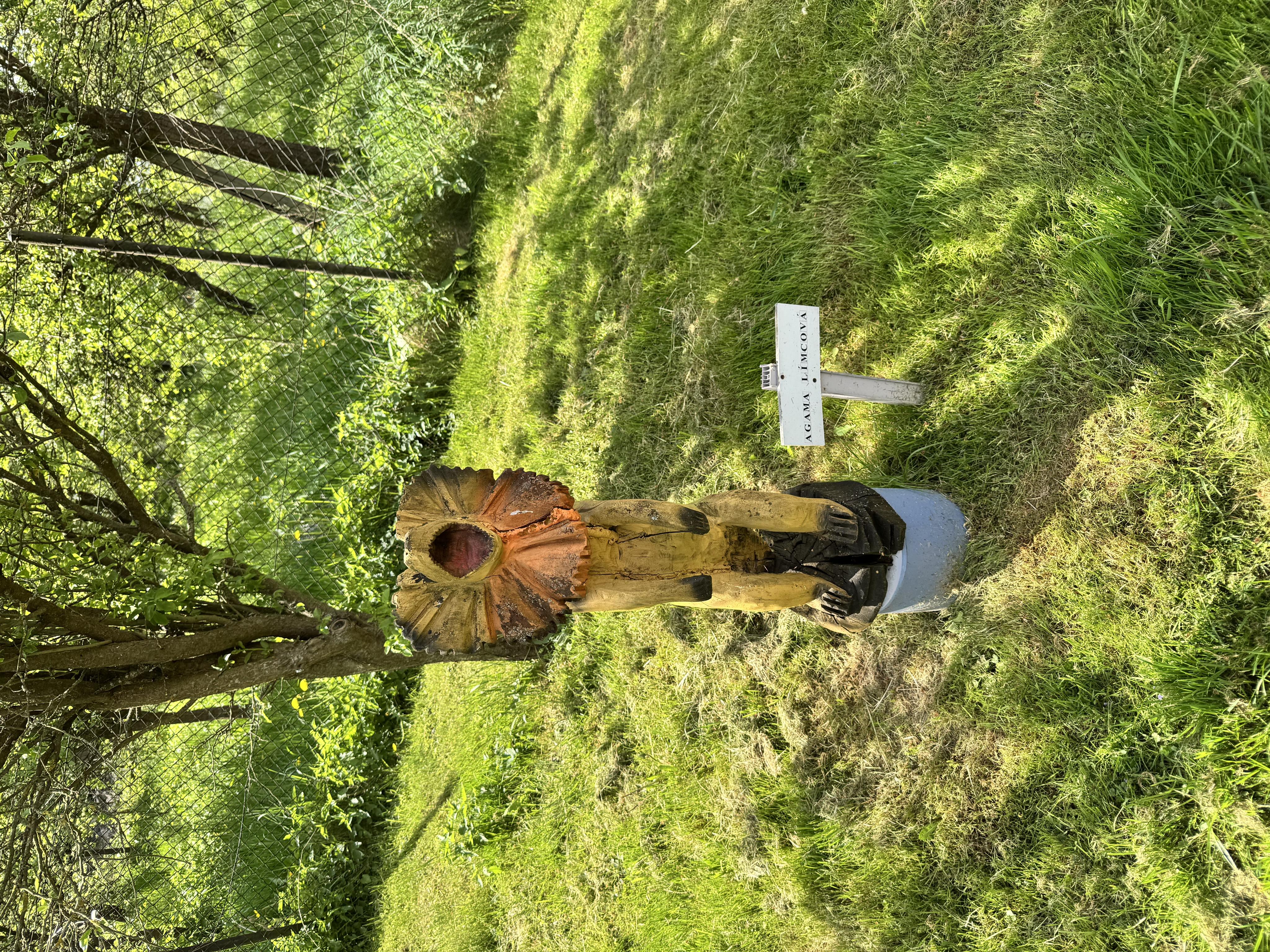 Dřevěná ZOO foto 2