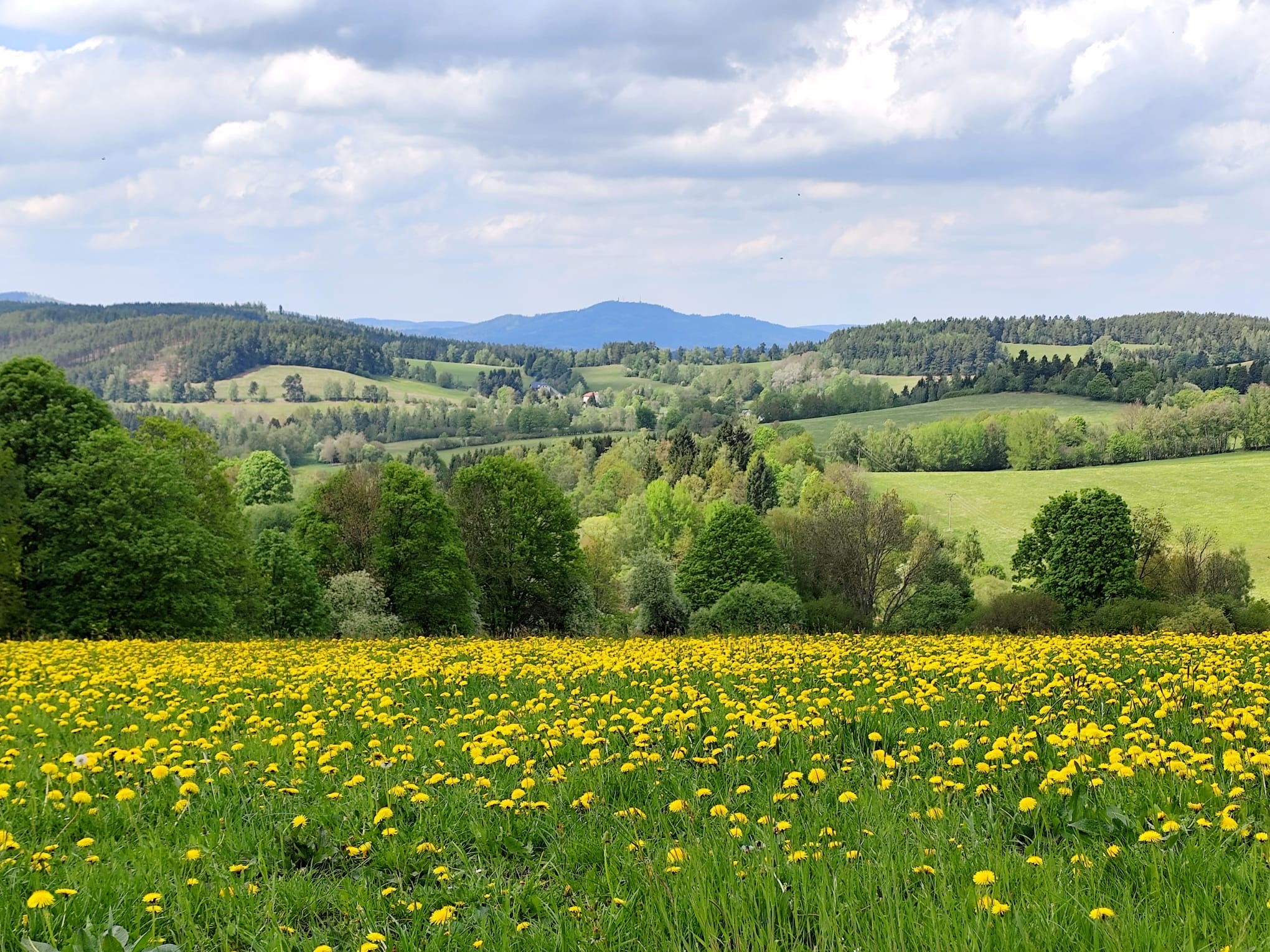 Apartmány Ševcovna, ubytování v soukromí Šumava foto 2