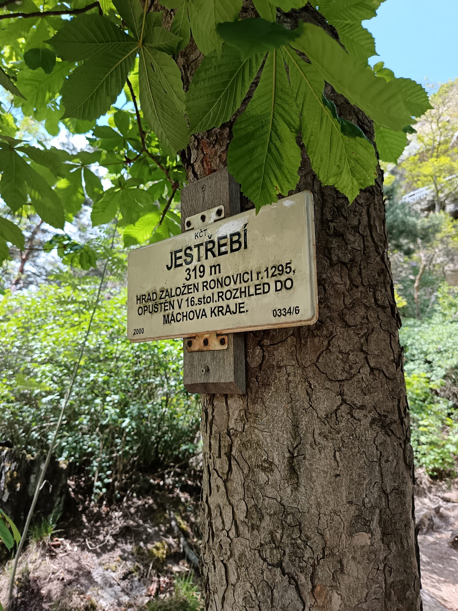 Rychta Jestřebí foto 3